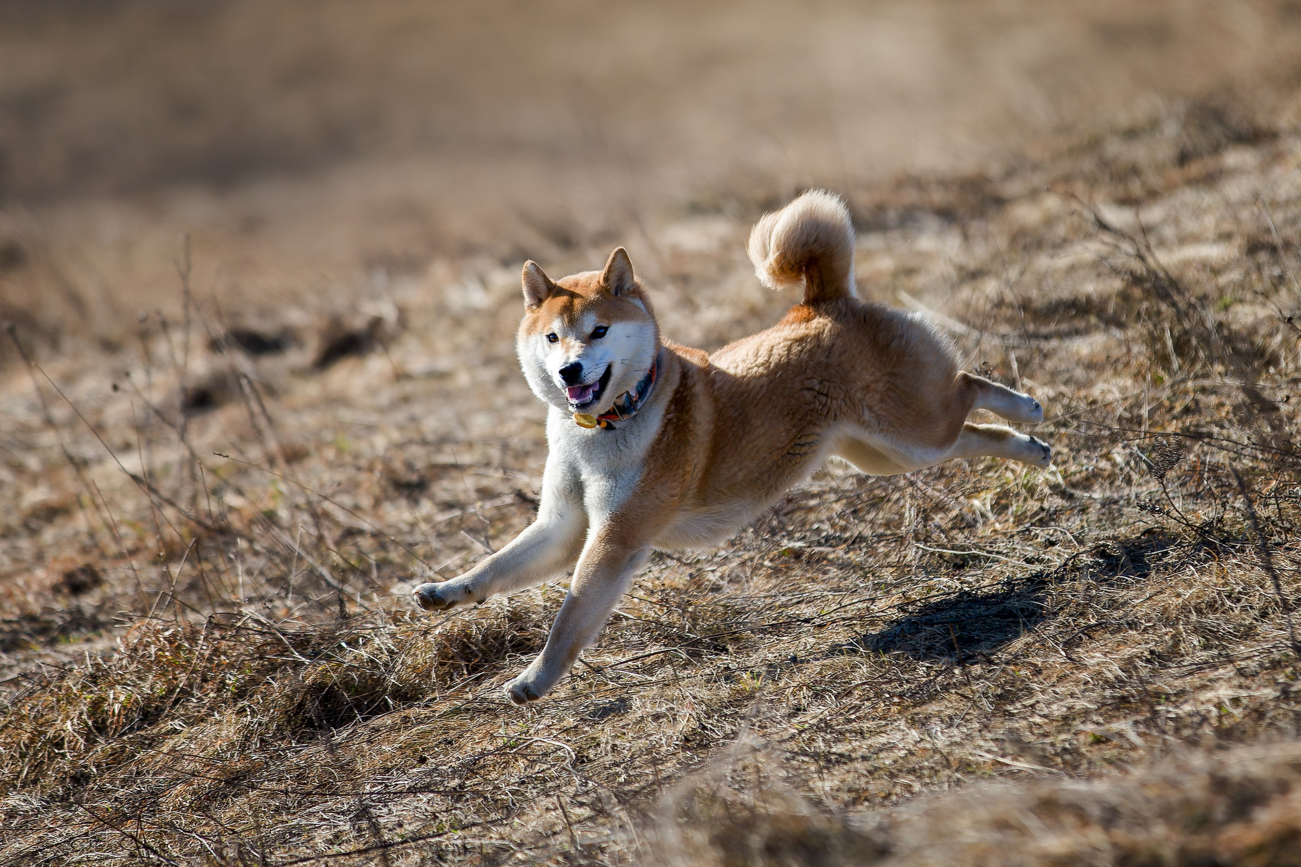 Lure Club 2026. Irenephoto.ru