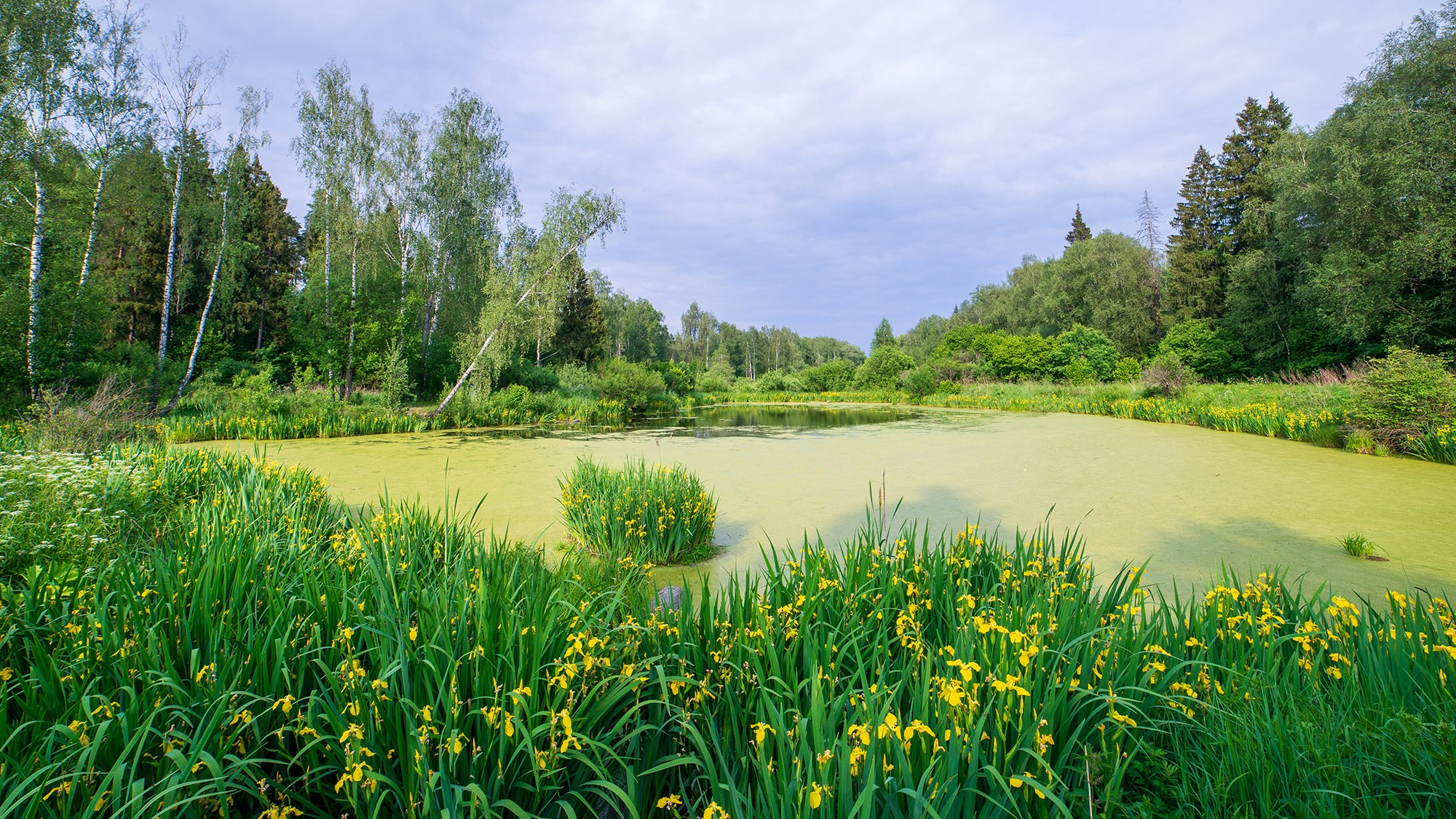Природа. Ваш личный фотограф Марина Волкова