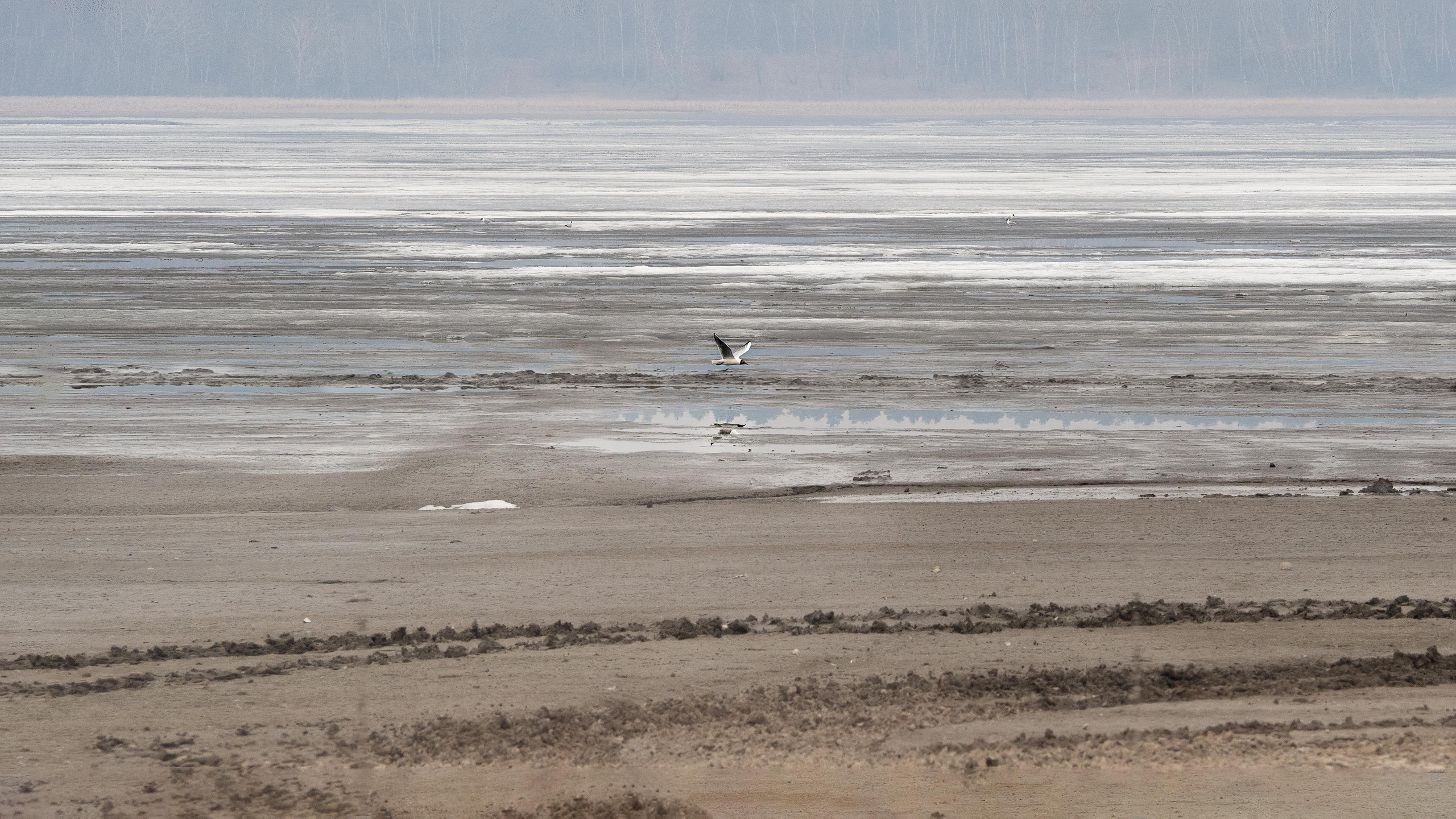 Фото для интерьера. Фотограф Алексей Школдин. Новосибирск