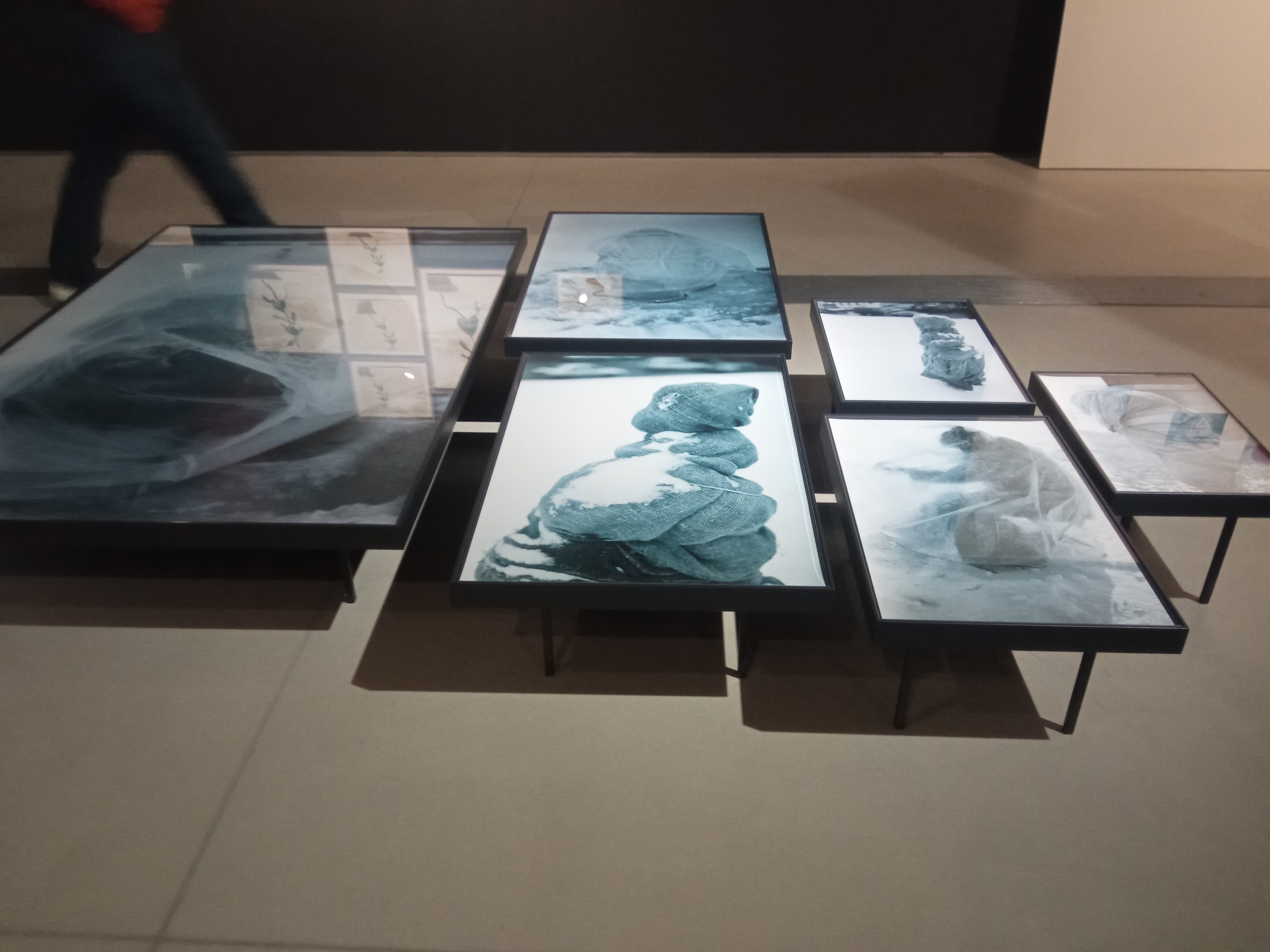 Выставка Ольги Чернышевой «Улица сна». Private image