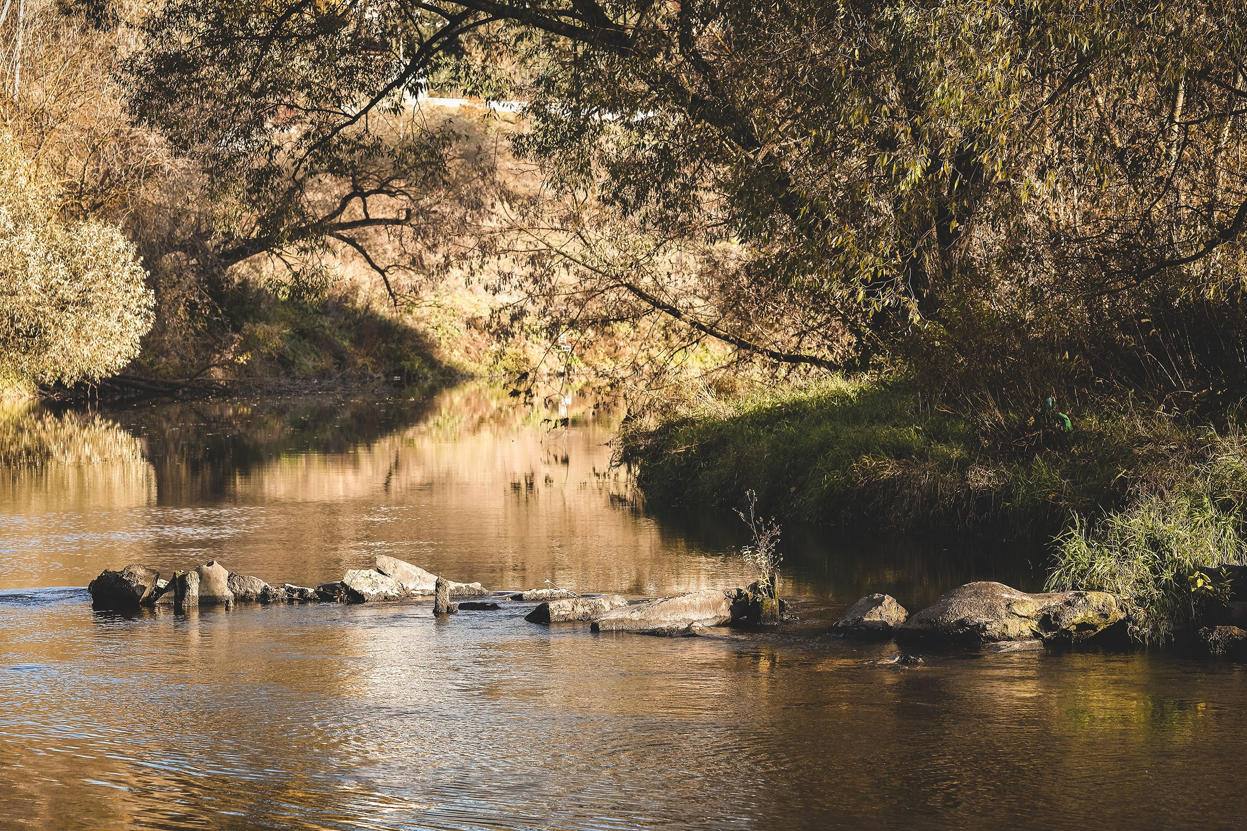 Перекат на реке Пахра