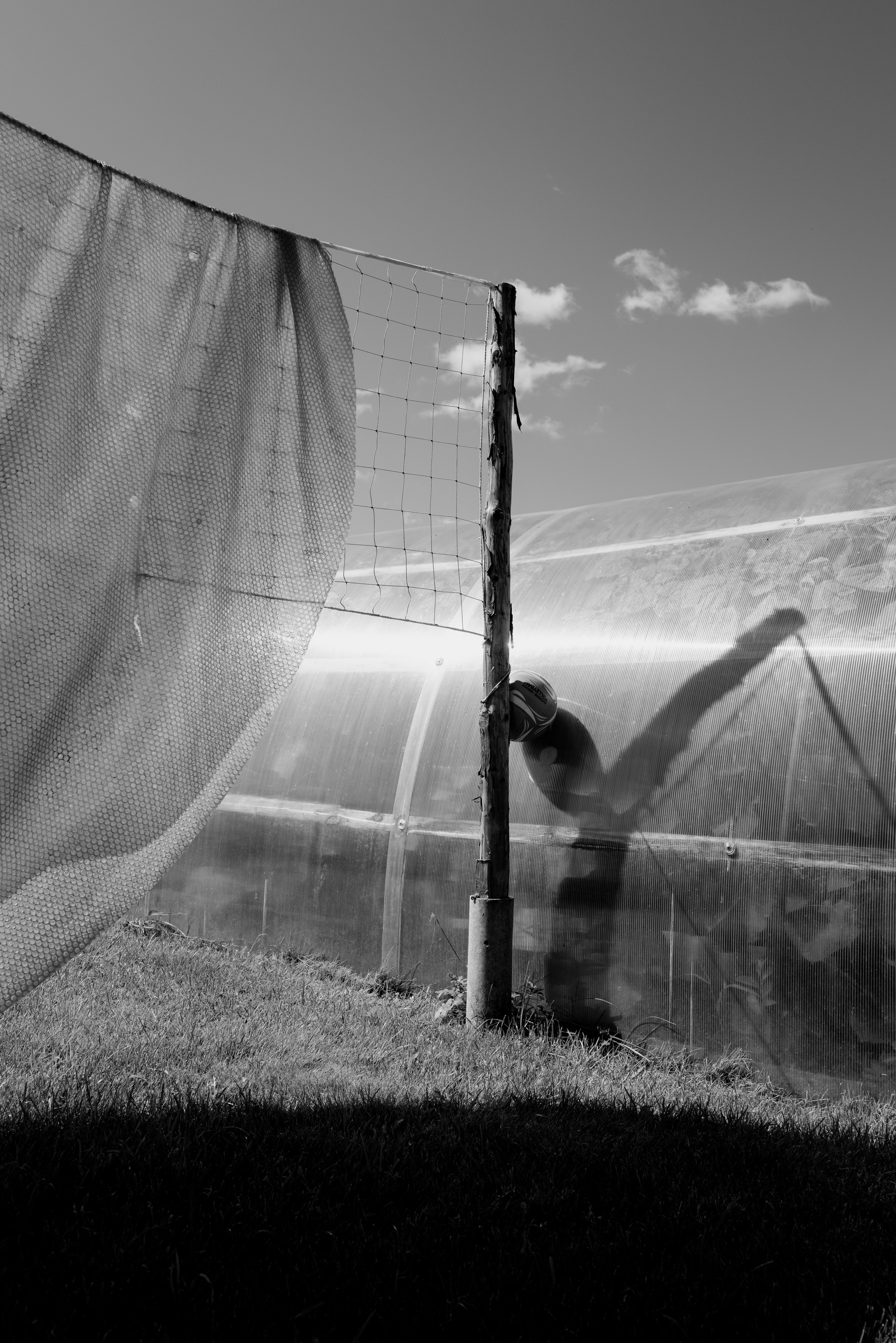 д.Солокого, 26.07.2025