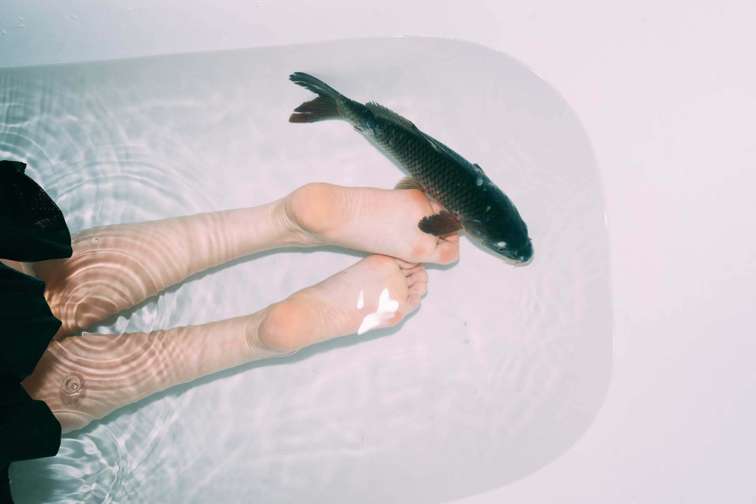 Carp Grisha. Sasha Speranskii — Conceptual Photographer | Based in Moscow