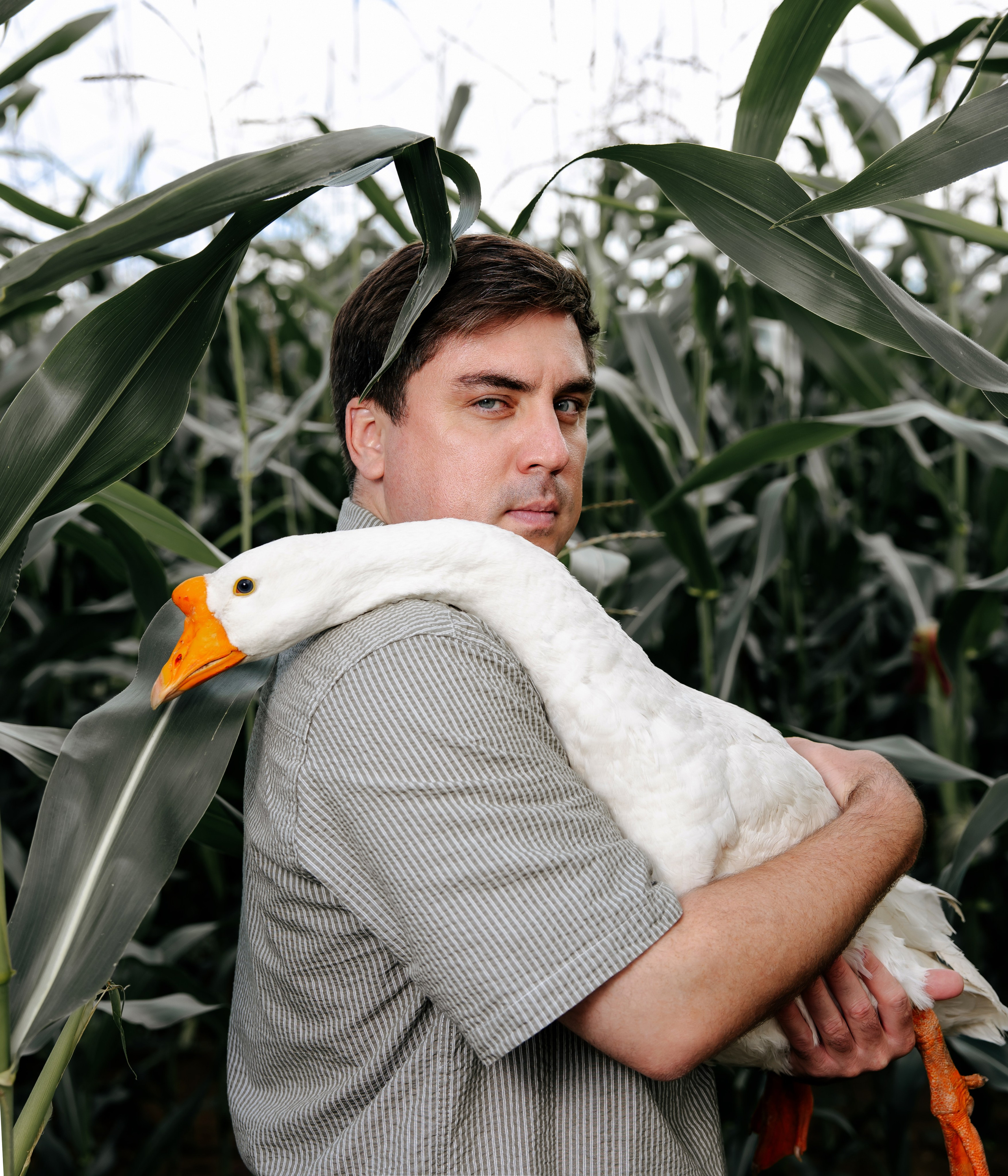 Мужской портрет. Главная