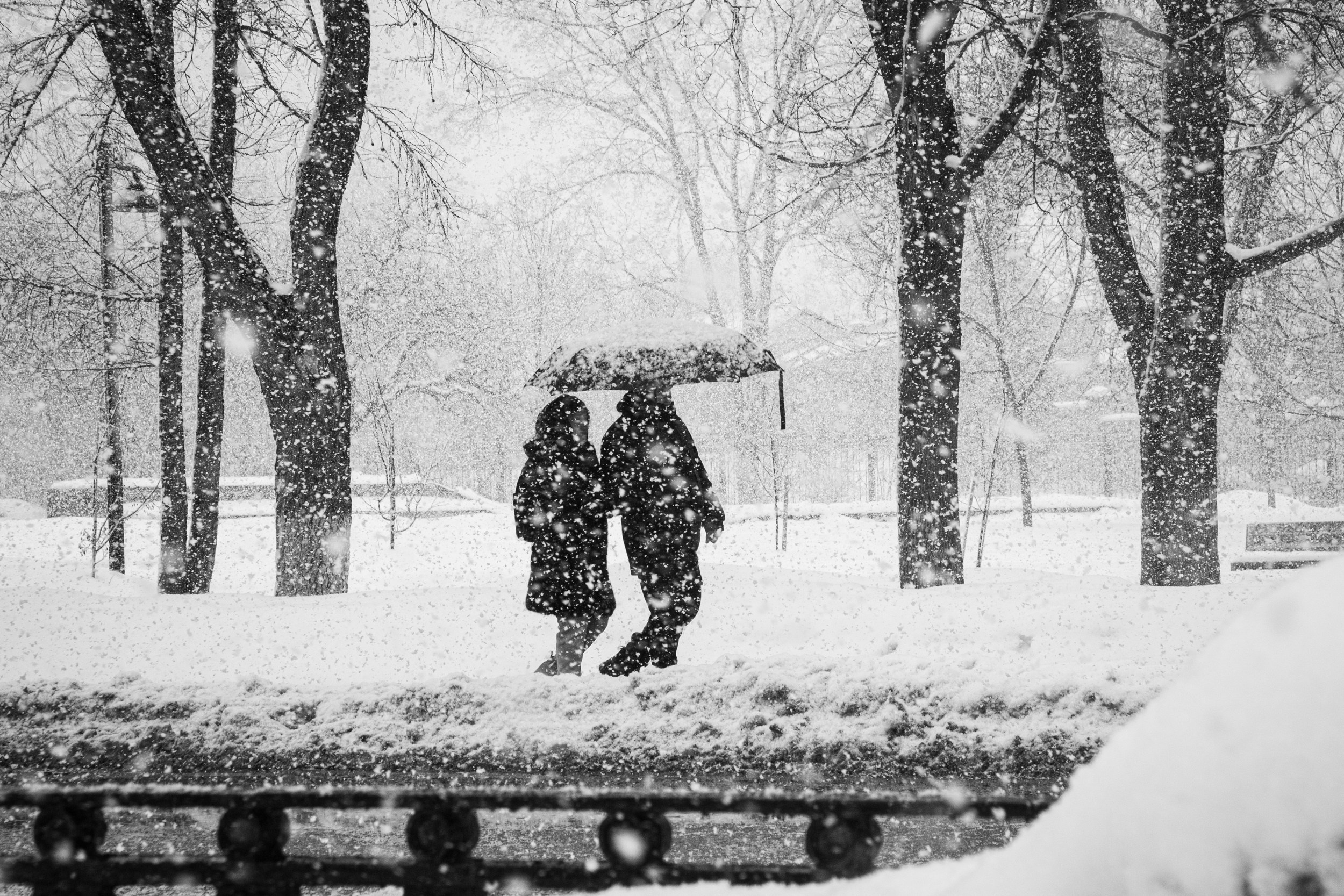 Татьяна Корчагина. Фотограф, художник. Обучение фотографии