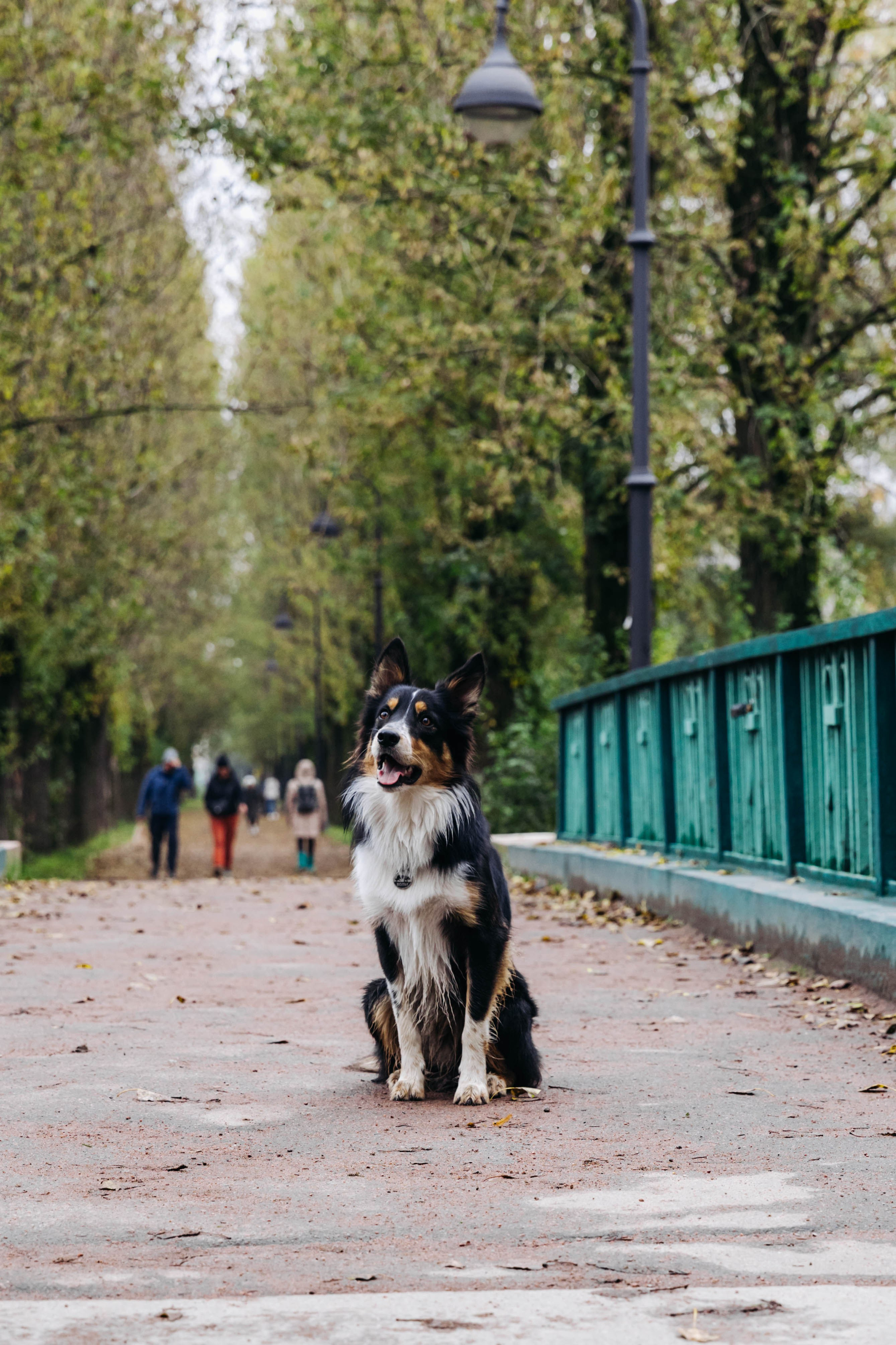 Вольт. Свадебный и семейный фотограф в Санкт-Петербурге Лолита Евстифеева