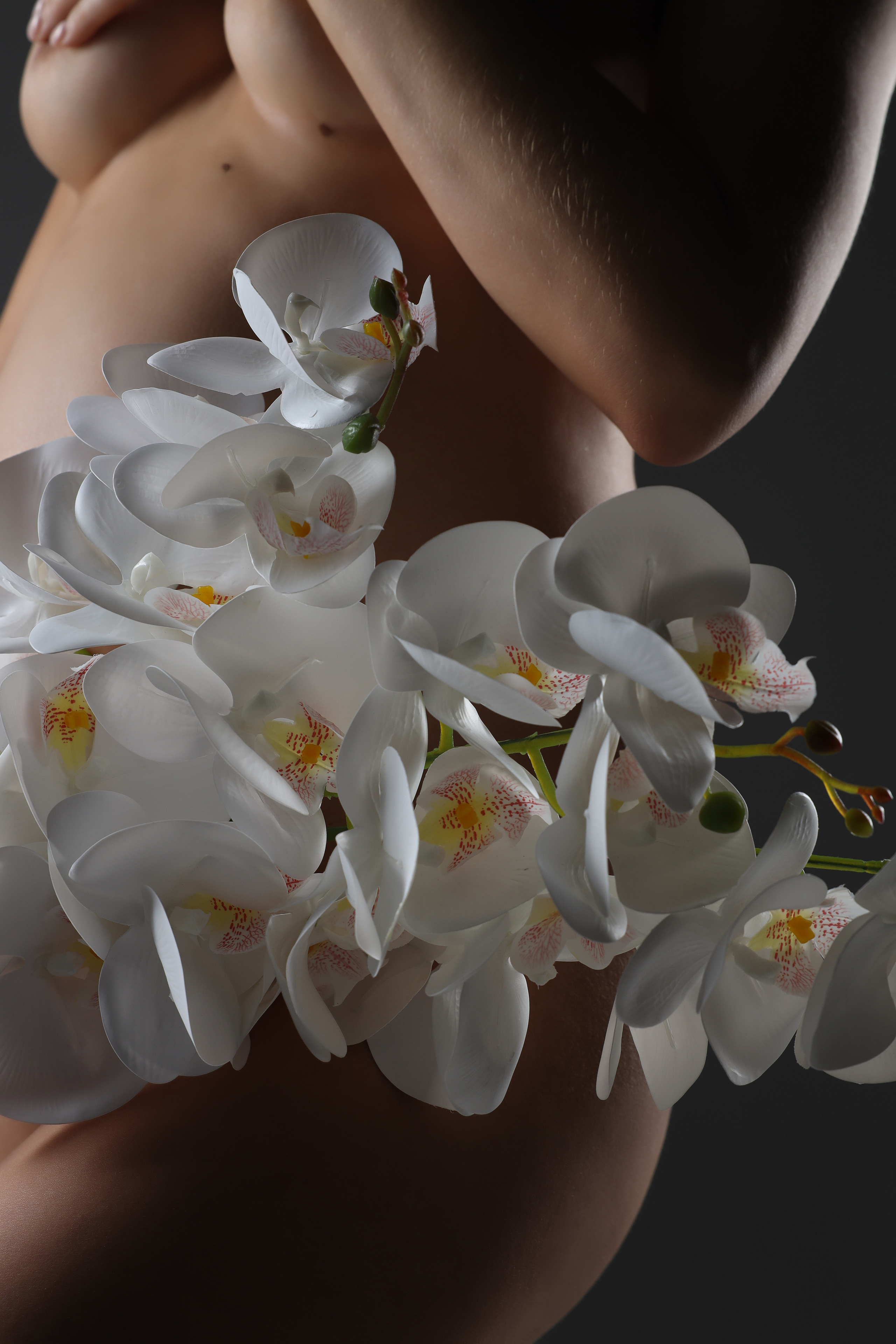 Дарья. Фотограф в городе Москва Меркулова Виктория