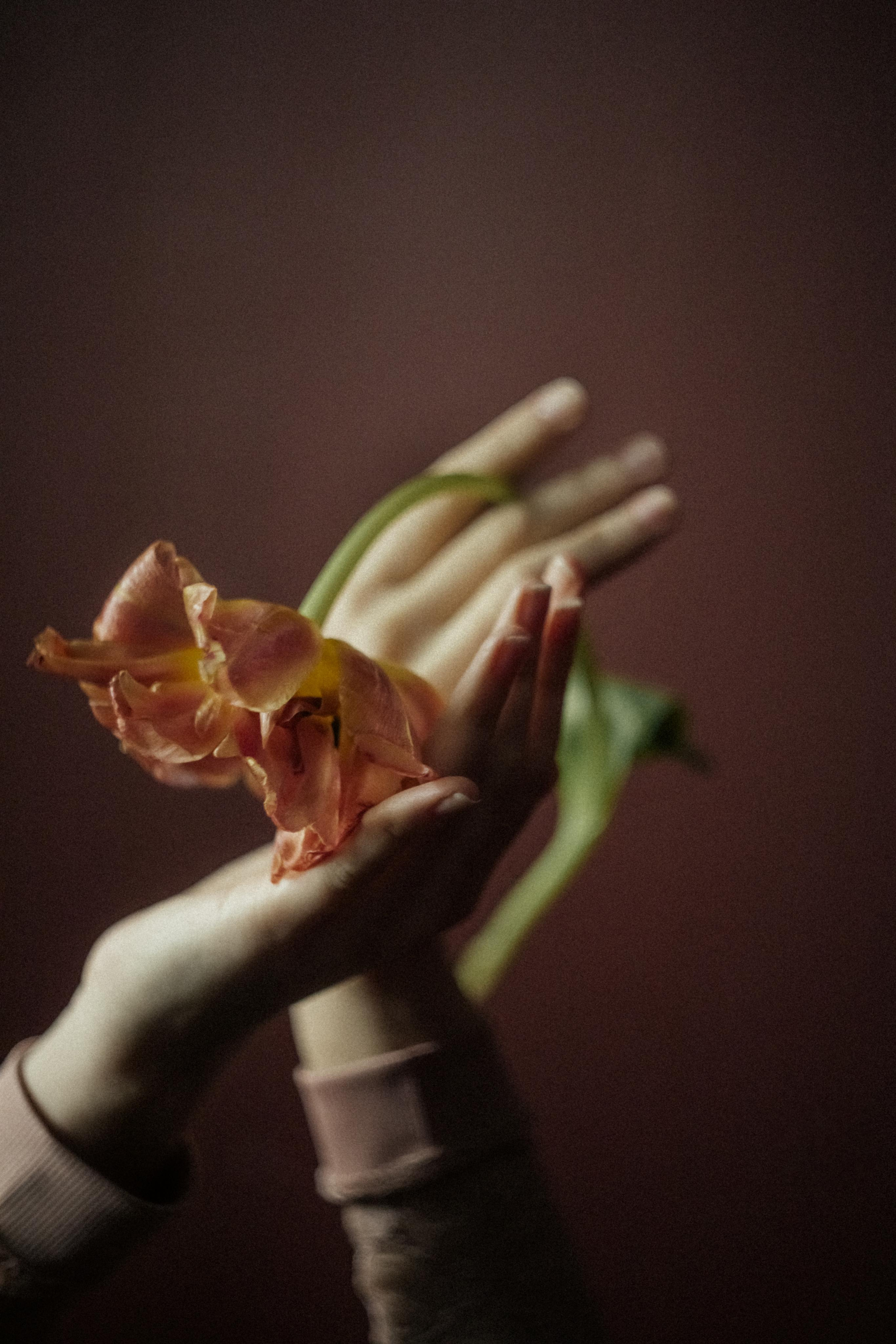 Женский фотограф москва. Фотограф Москва