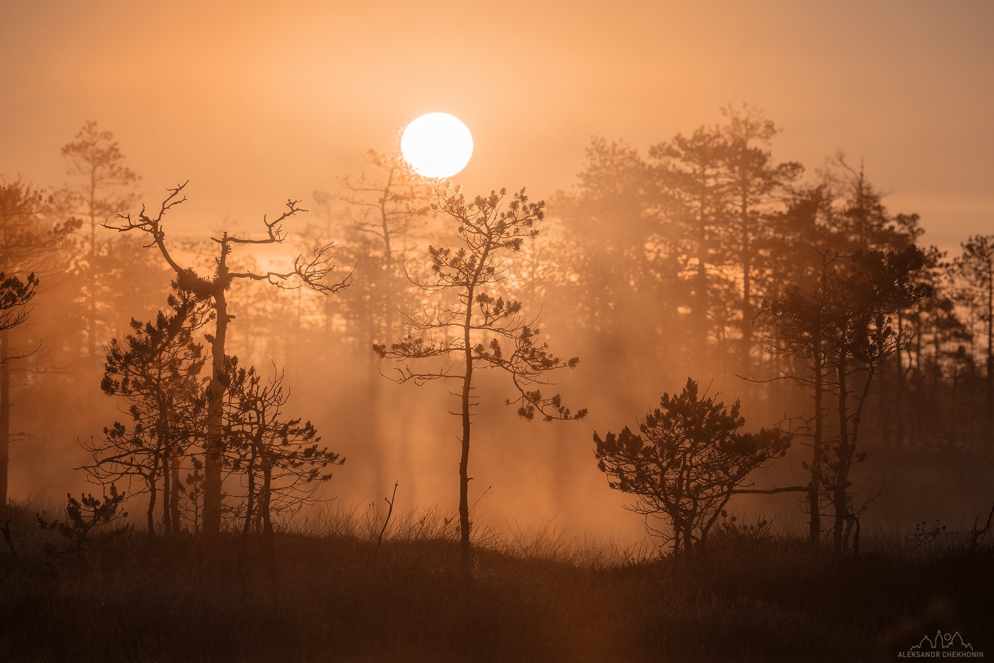 Рассвет на болоте. Пейзажный фотограф Александр Чехонин