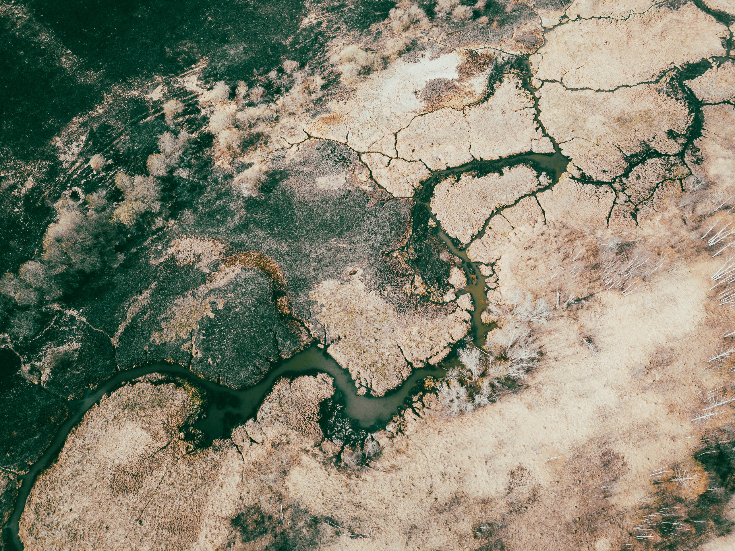 Поездка в Спас. Интерьерный фотограф в Москве Роман Потапов