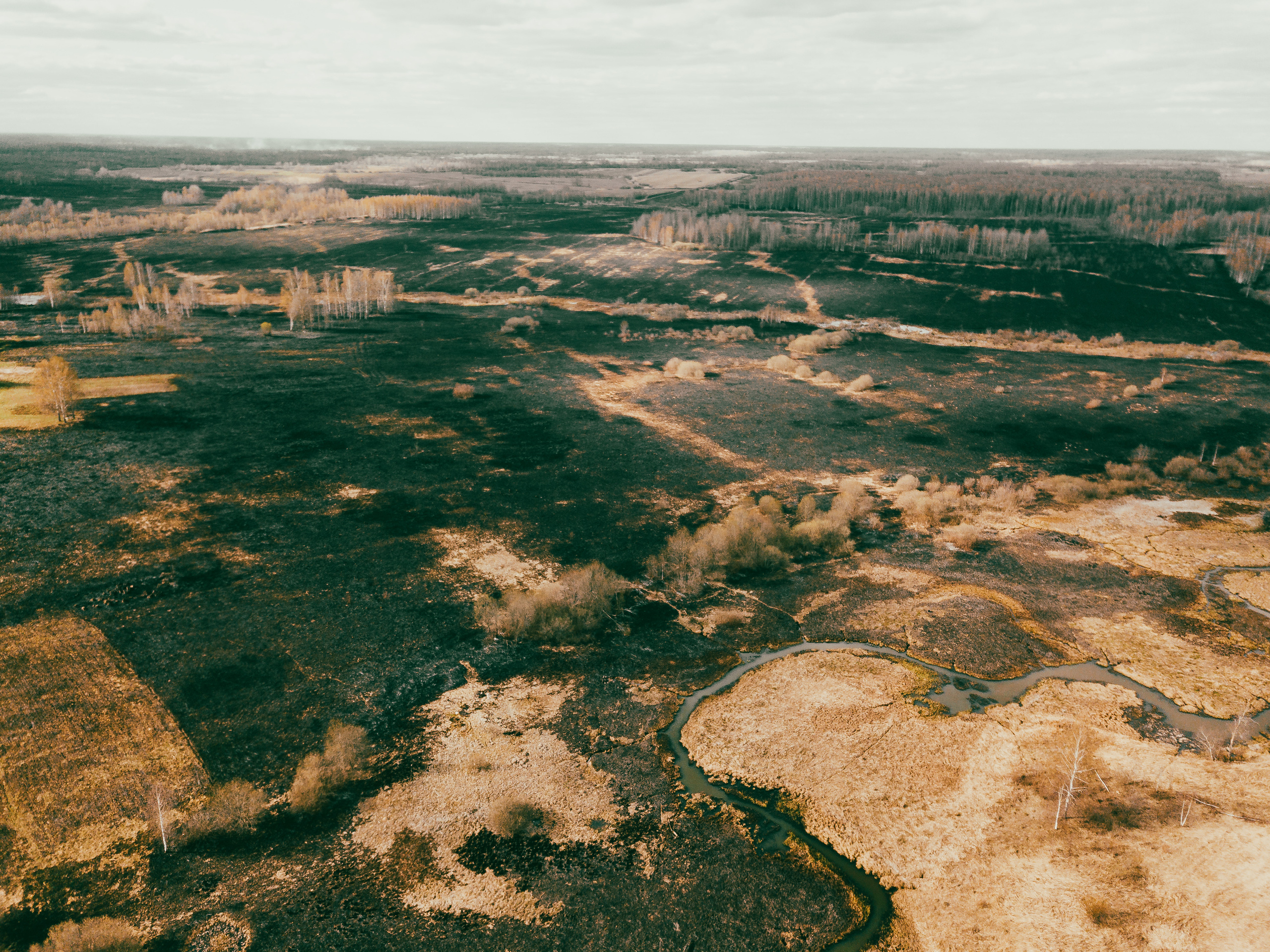 По дороге в Спас