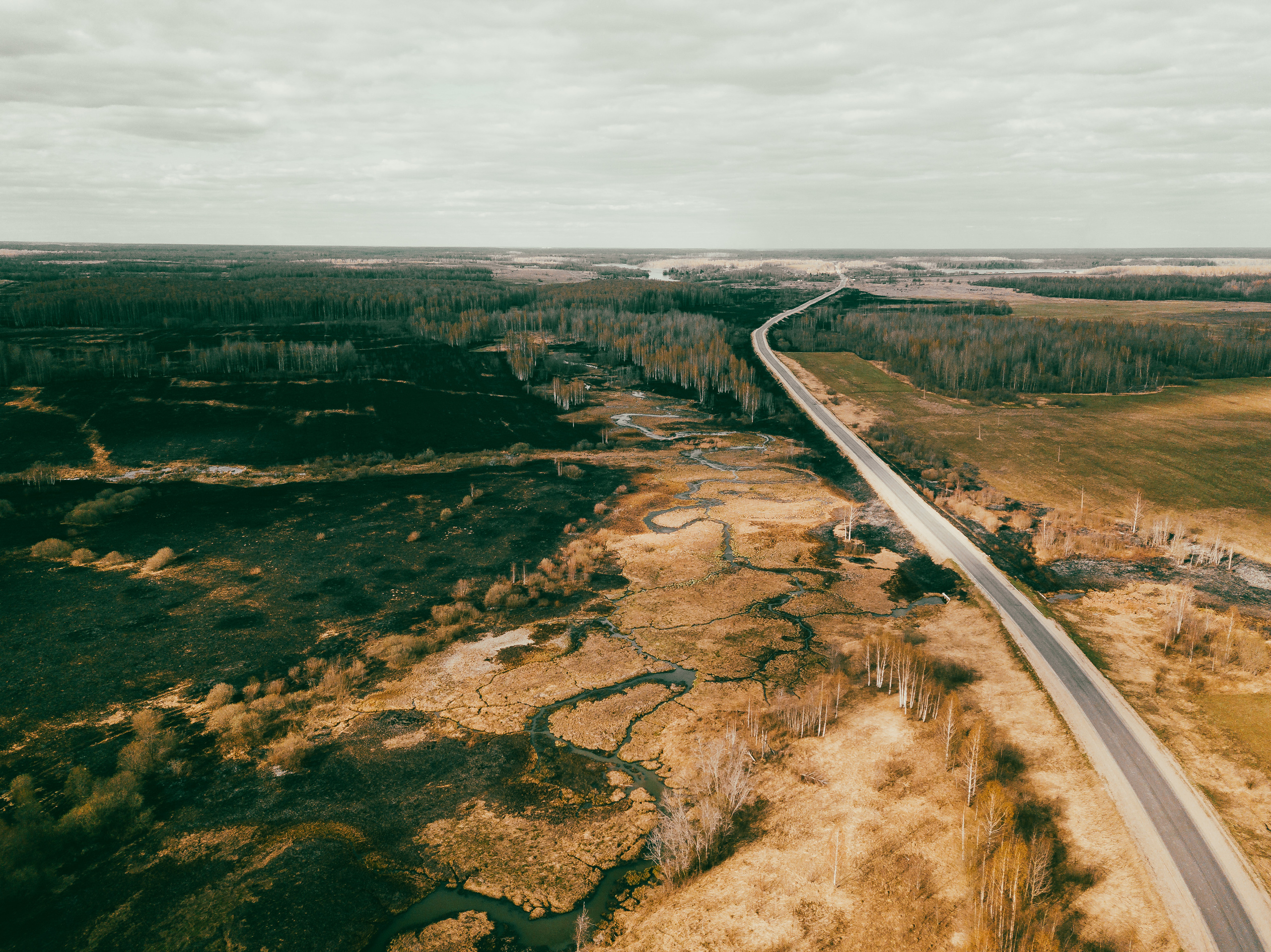 Выжженные поля по дороге в Спас