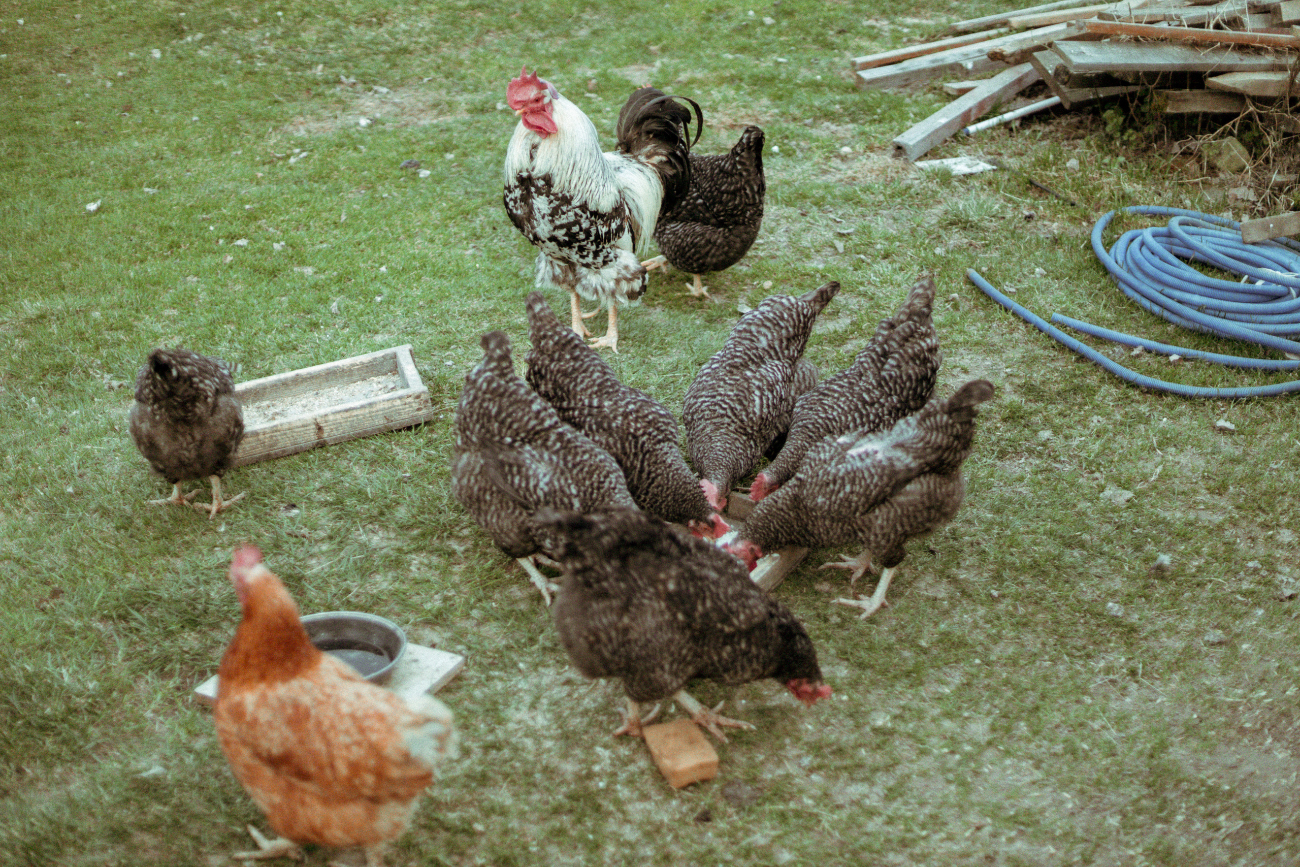 Поездка в Спас. Интерьерный фотограф в Москве Роман Потапов