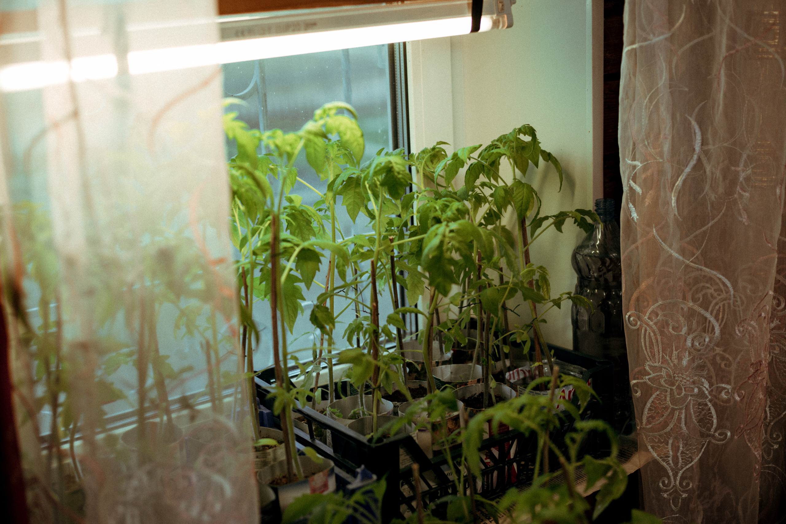 Поездка в Спас. Интерьерный фотограф в Москве Роман Потапов