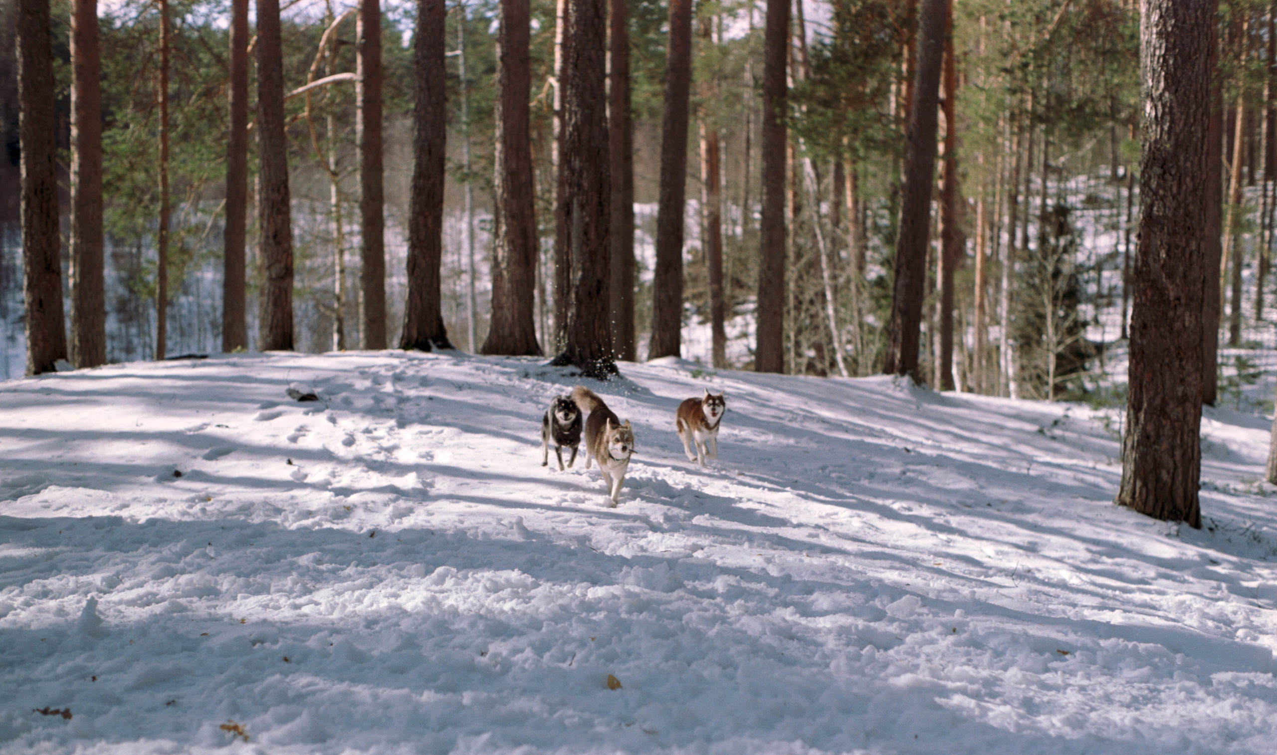 W. Стилист и плёночный фотограф Анастасия Шлокова в Санкт-Петербурге и Москве