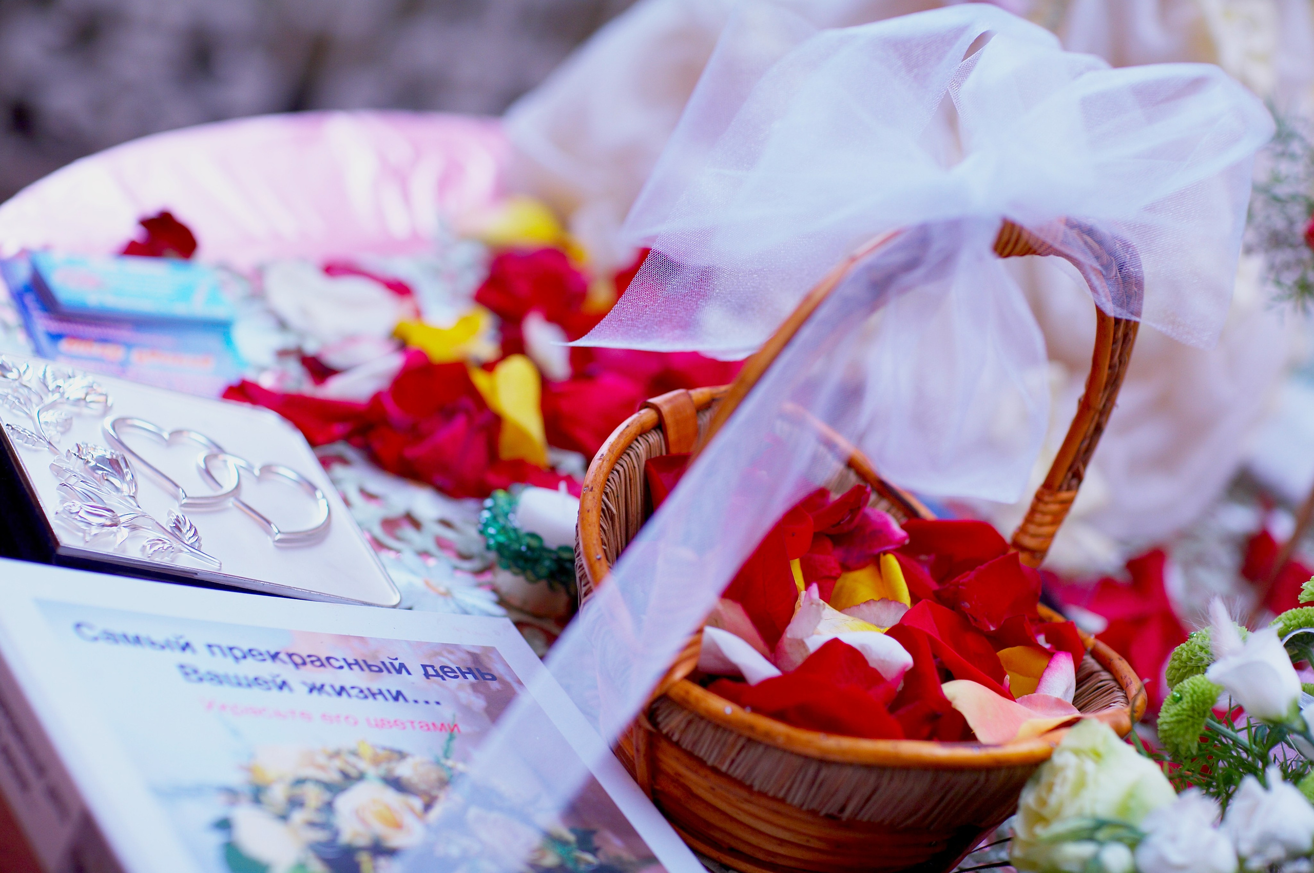 Фотограф на свадьбу в Самаре Татьяна Малушкина