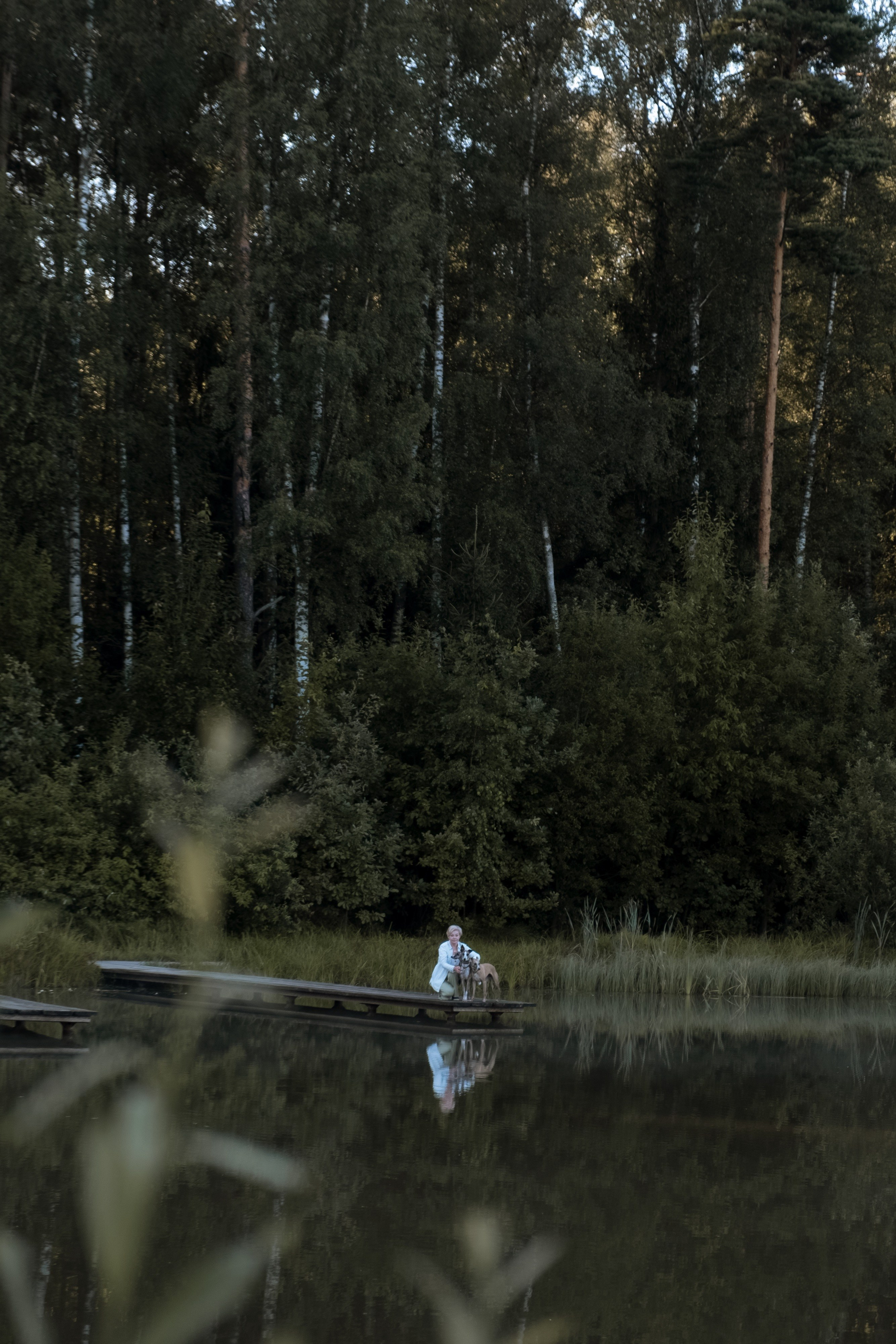 Animalism. Nataresso | фотограф Москва