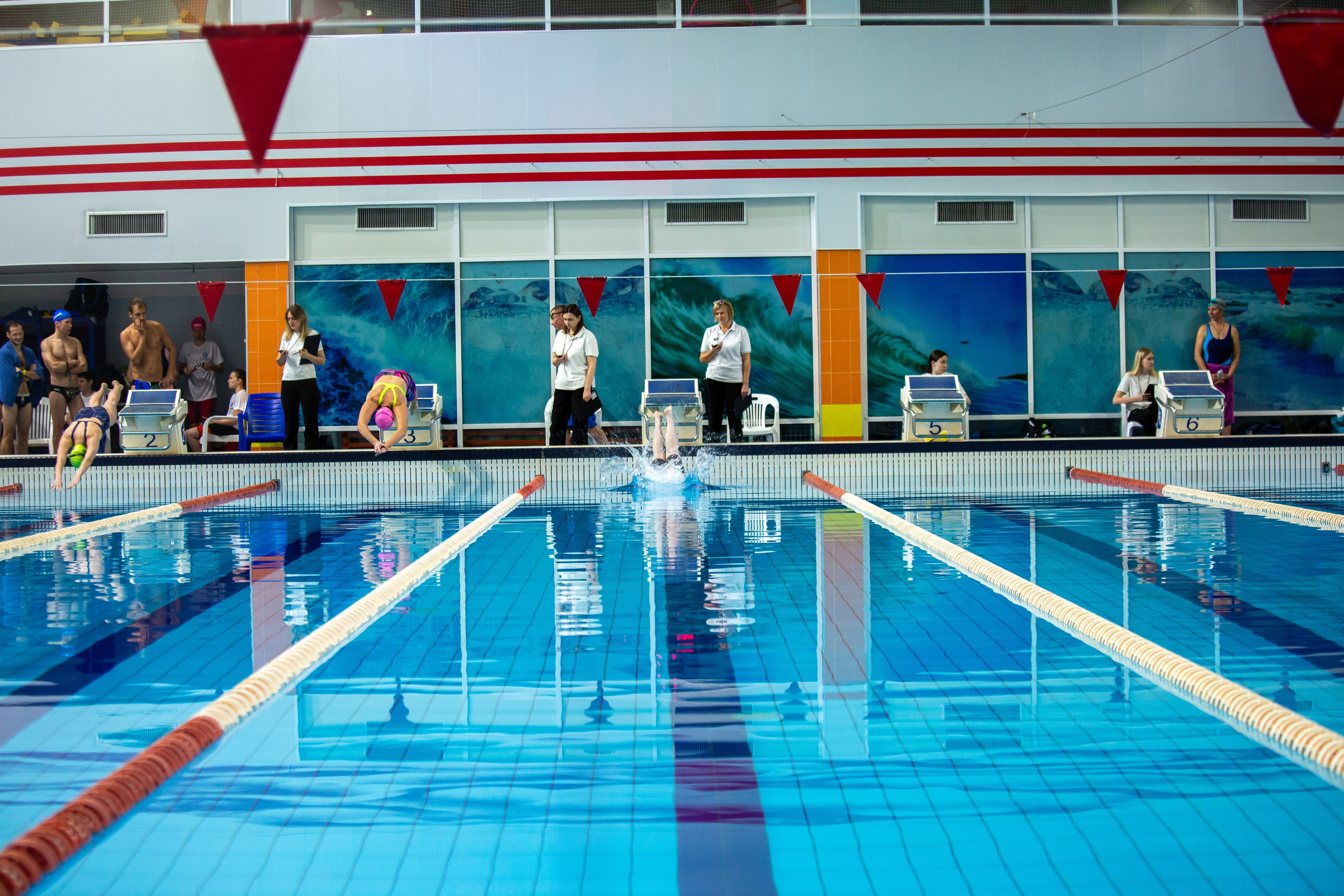 Турнир по плаванию. Репортажный, семейный, свадебный, портретный фотограф