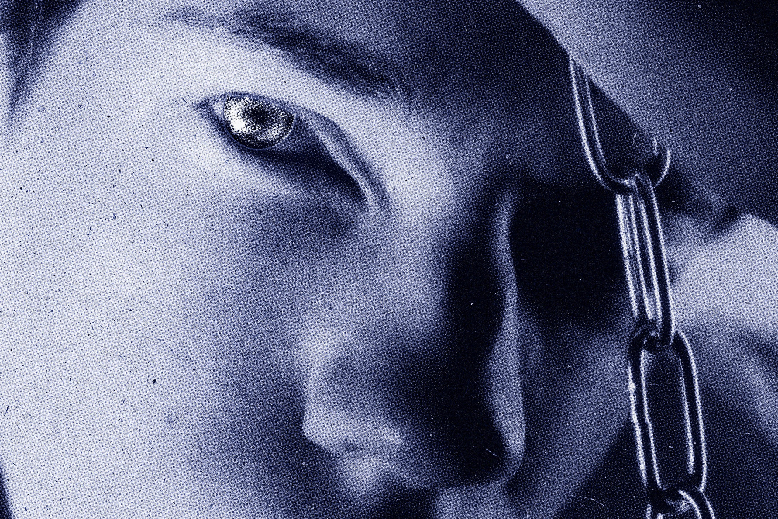 Автопортрет № 3