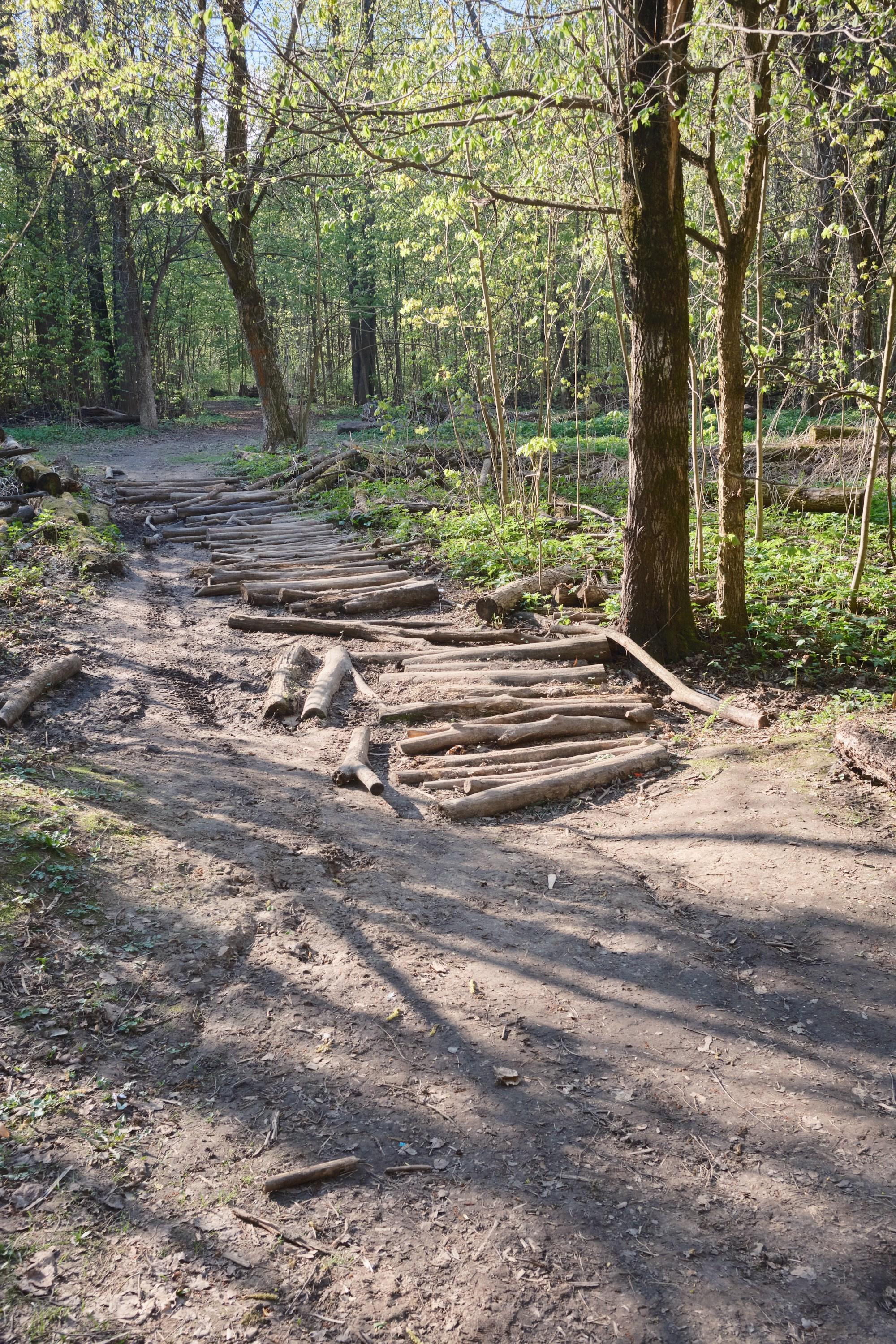 Парк Синичка | Красногорск. Фотографъ Сергѣевъ. Поймать мгновеніе