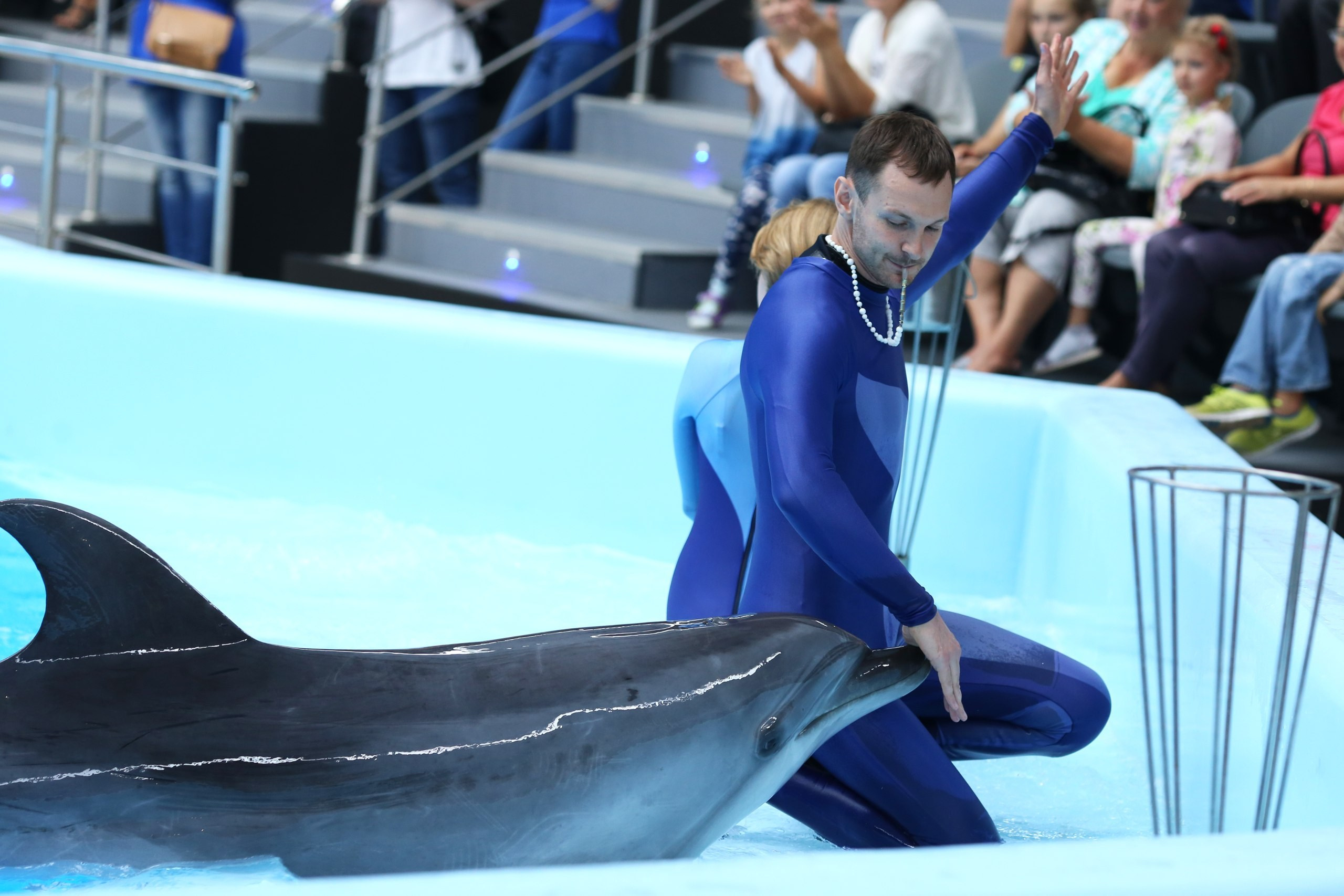 Тренер дельфинария, фотограф на мероприятие Новосибирск