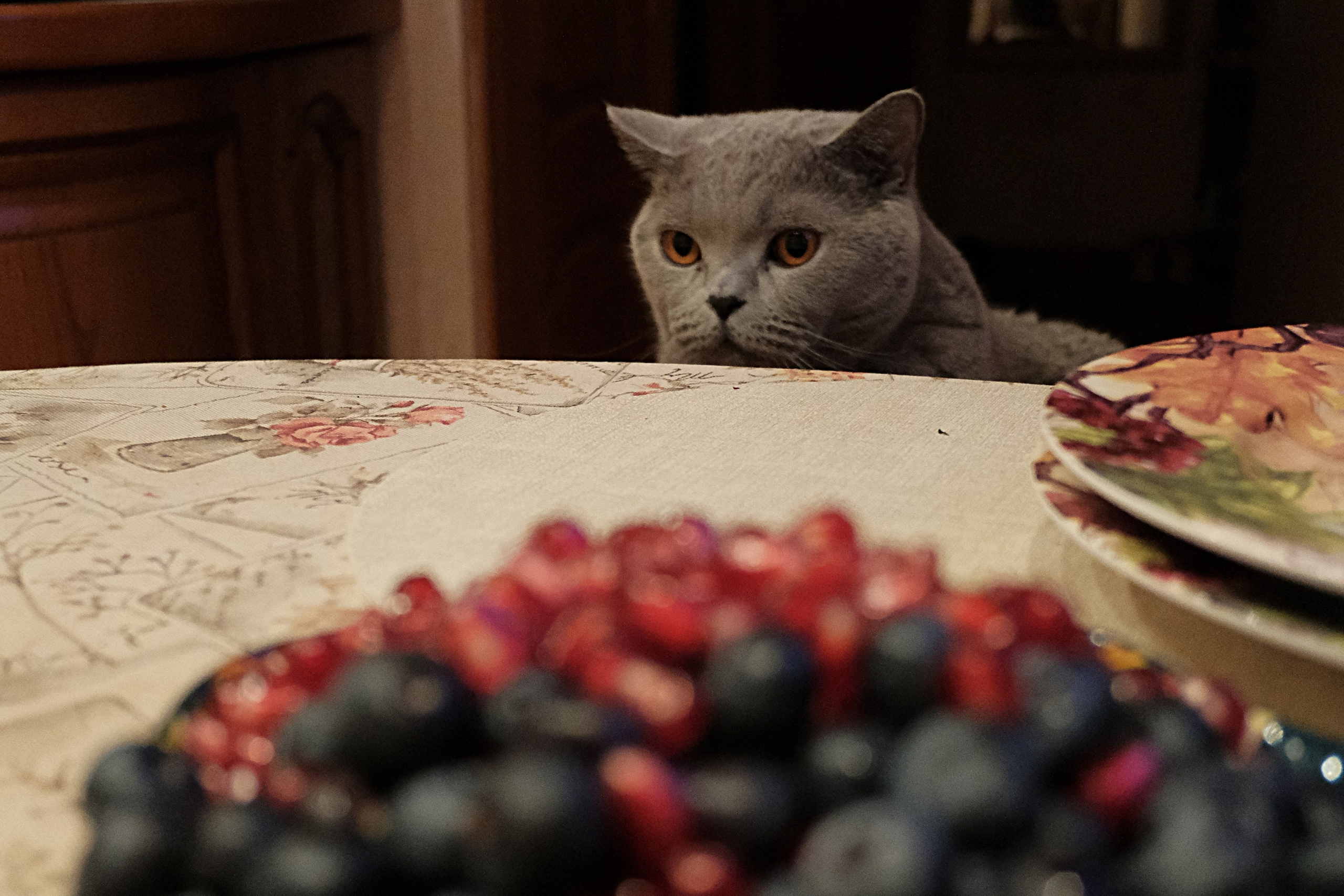 Улица, люди, жизнь…