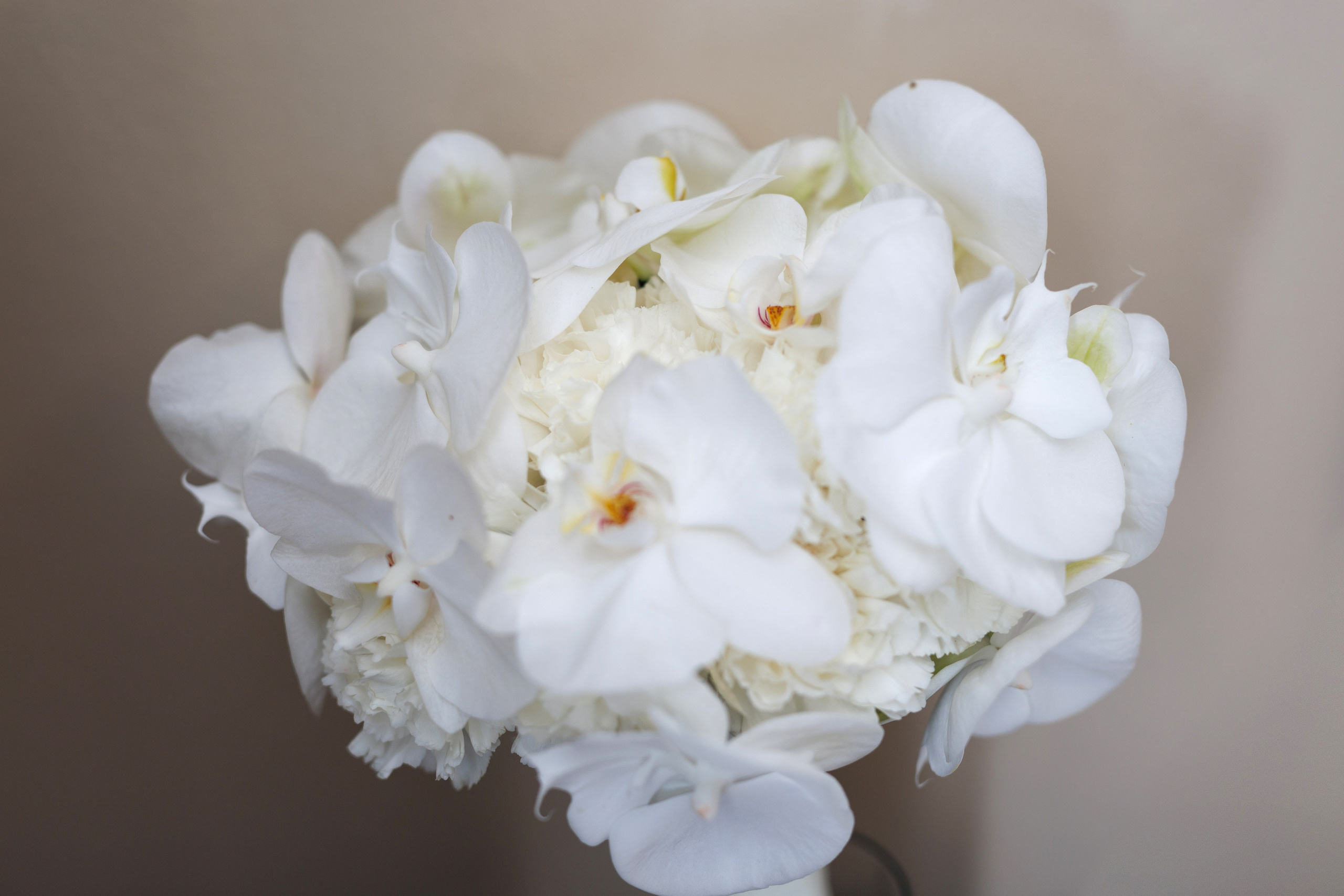 Руслан Гульбике. Фотограф Александр Литвинов