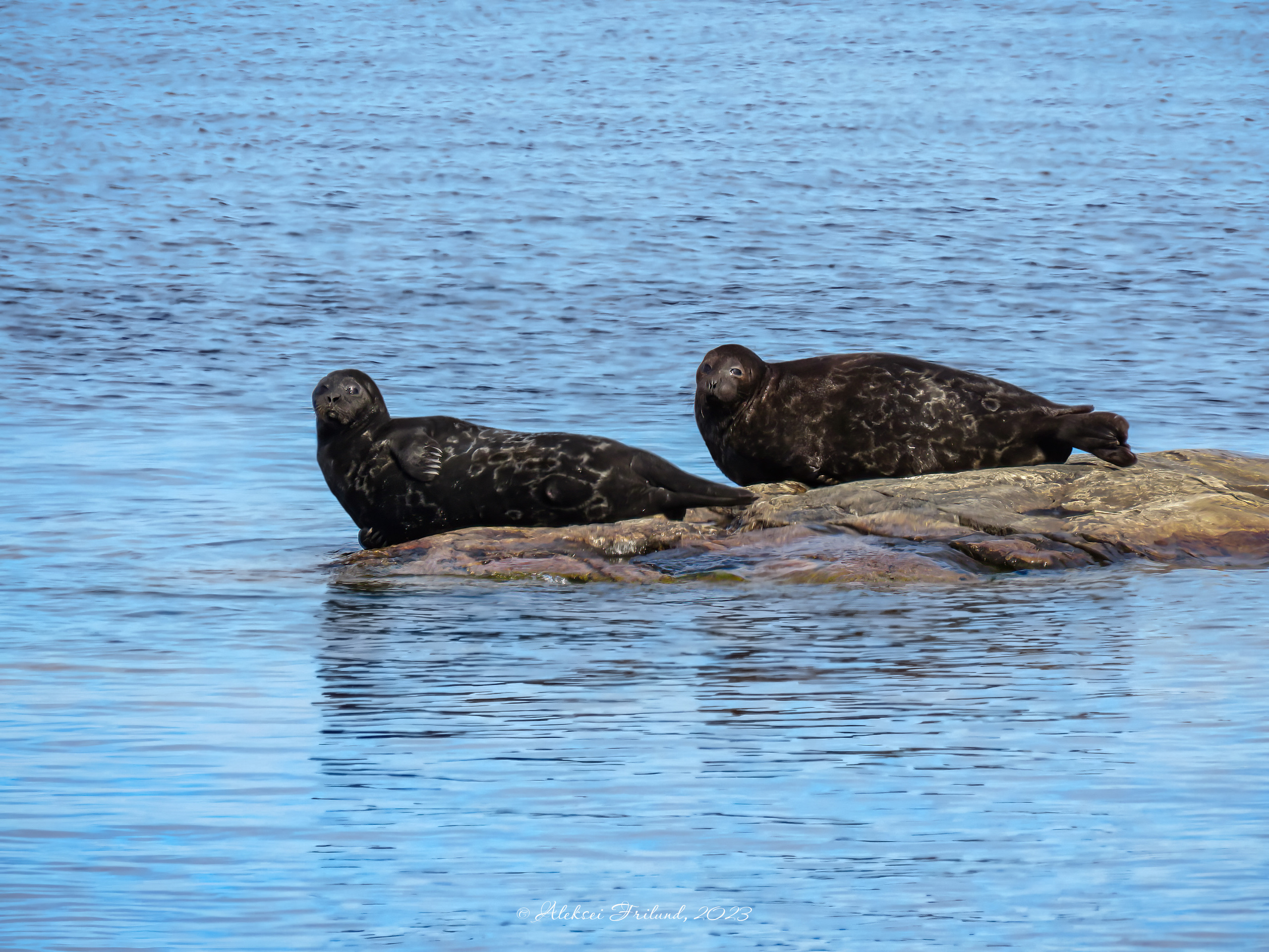 Ладожское озеро. Аэросъемка. Фото и Видео в Карелии. Алексей Фрилунд