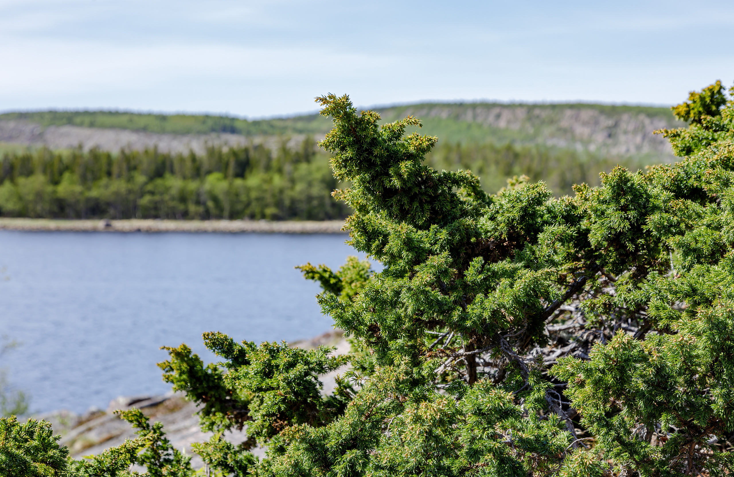 Белое море. Аэросъемка. Фото и Видео в Карелии. Алексей Фрилунд