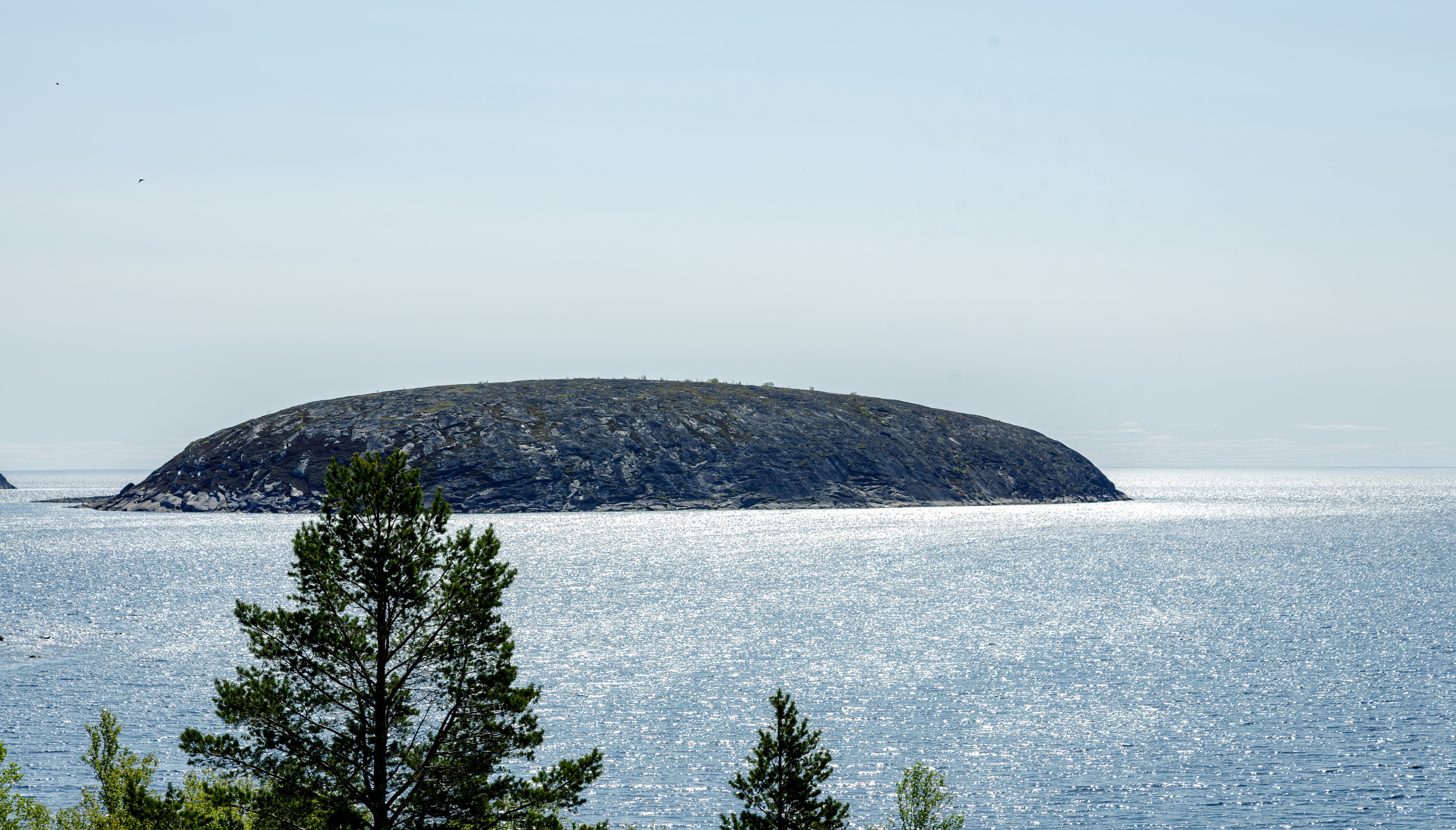 Белое море. Аэросъемка. Фото и Видео в Карелии. Алексей Фрилунд
