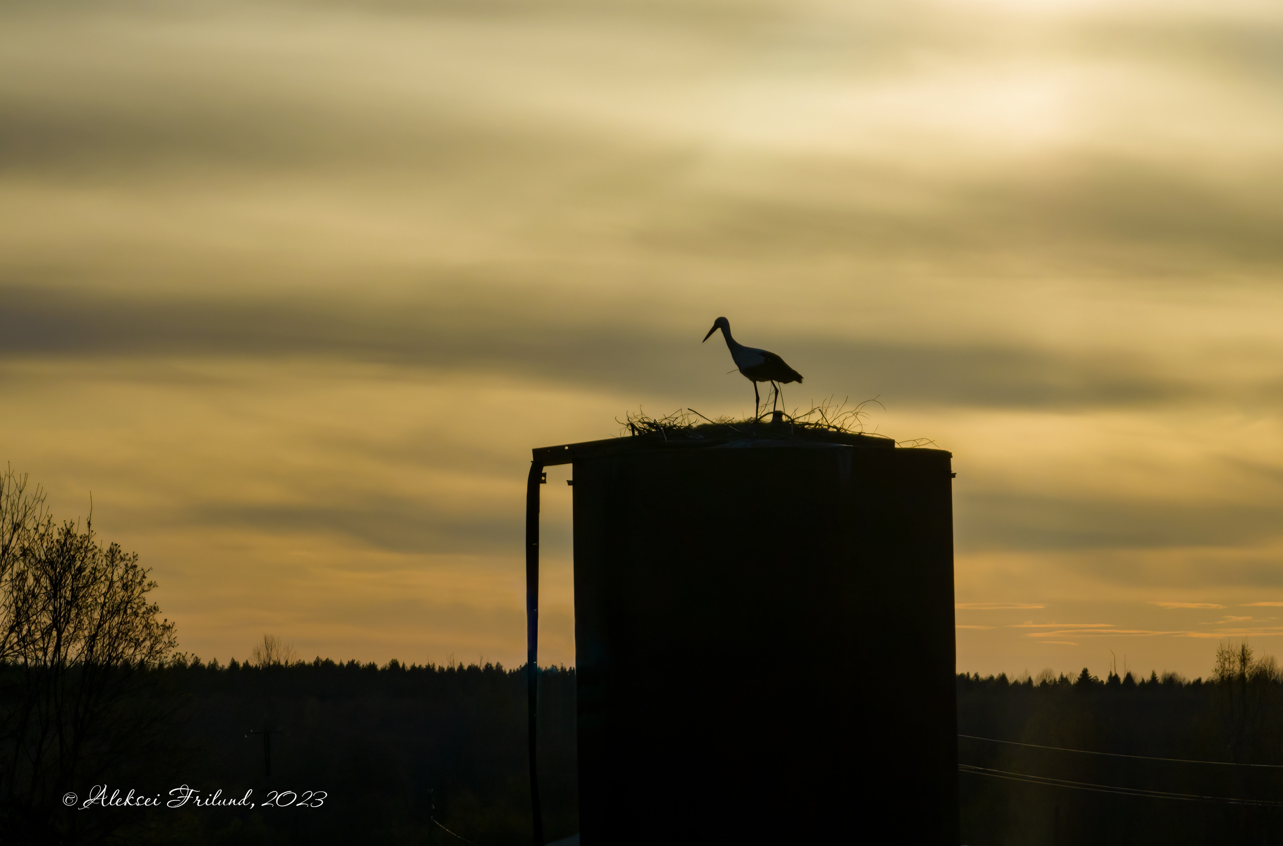 Природа Карелии. Аэросъемка. Фото и Видео в Карелии. Алексей Фрилунд