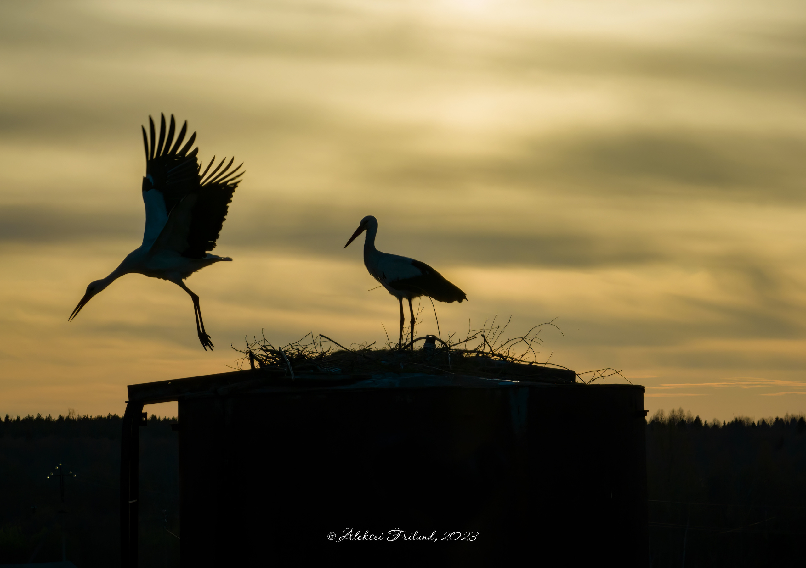 Природа Карелии. Аэросъемка. Фото и Видео в Карелии. Алексей Фрилунд
