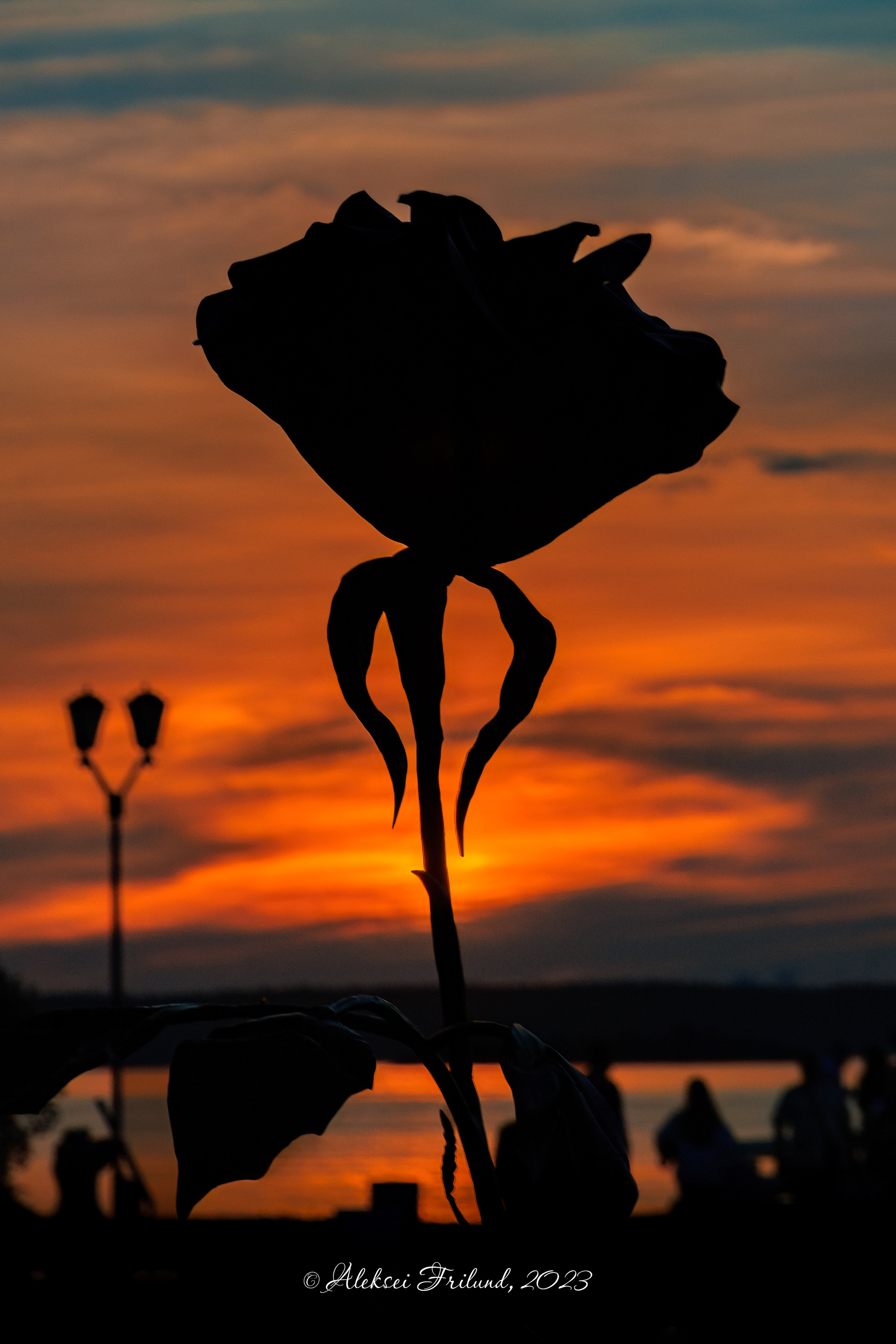 Силуэты города. Аэросъемка. Фото и Видео в Карелии. Алексей Фрилунд