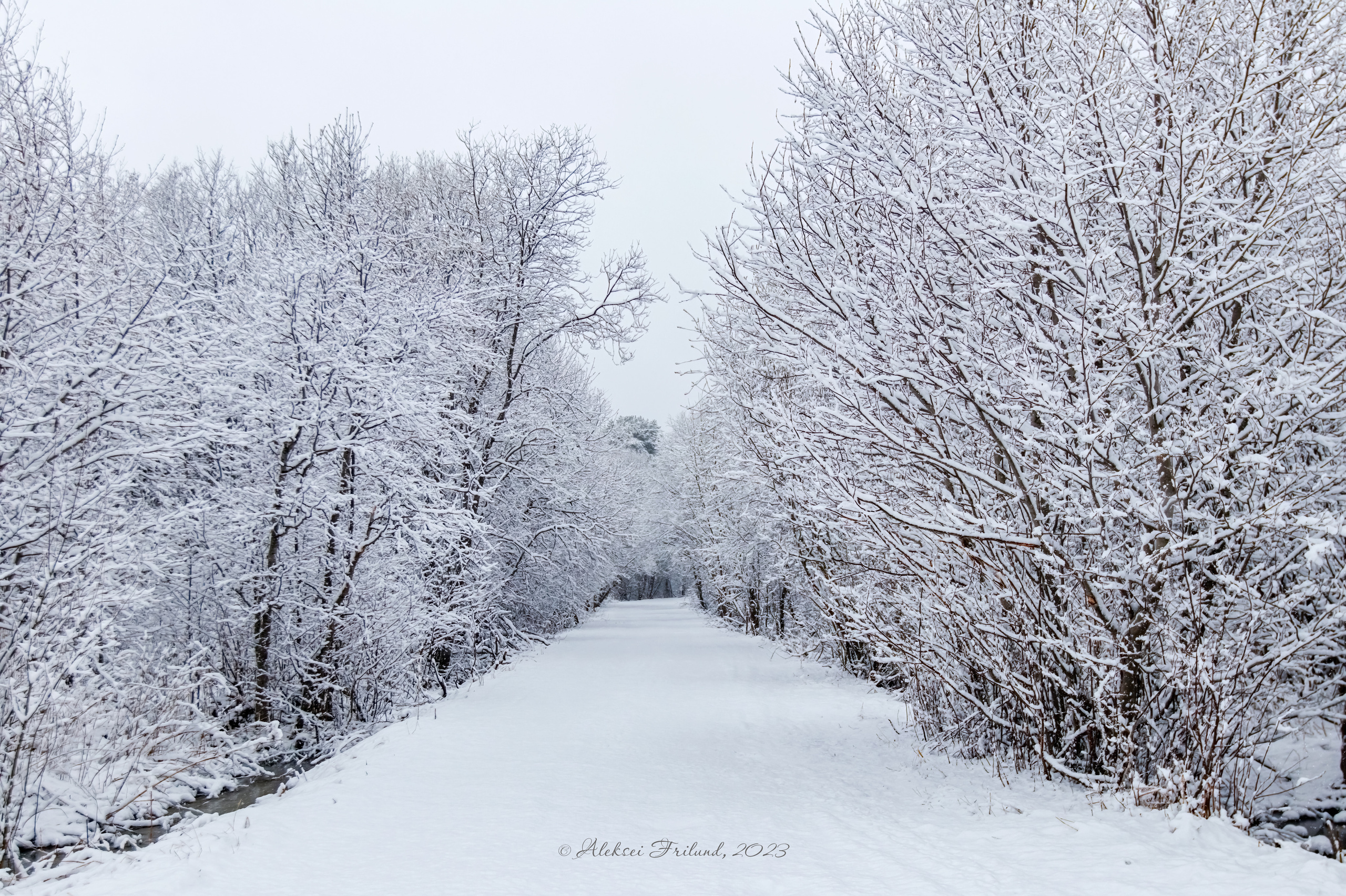 Природа Карелии. Аэросъемка. Фото и Видео в Карелии. Алексей Фрилунд