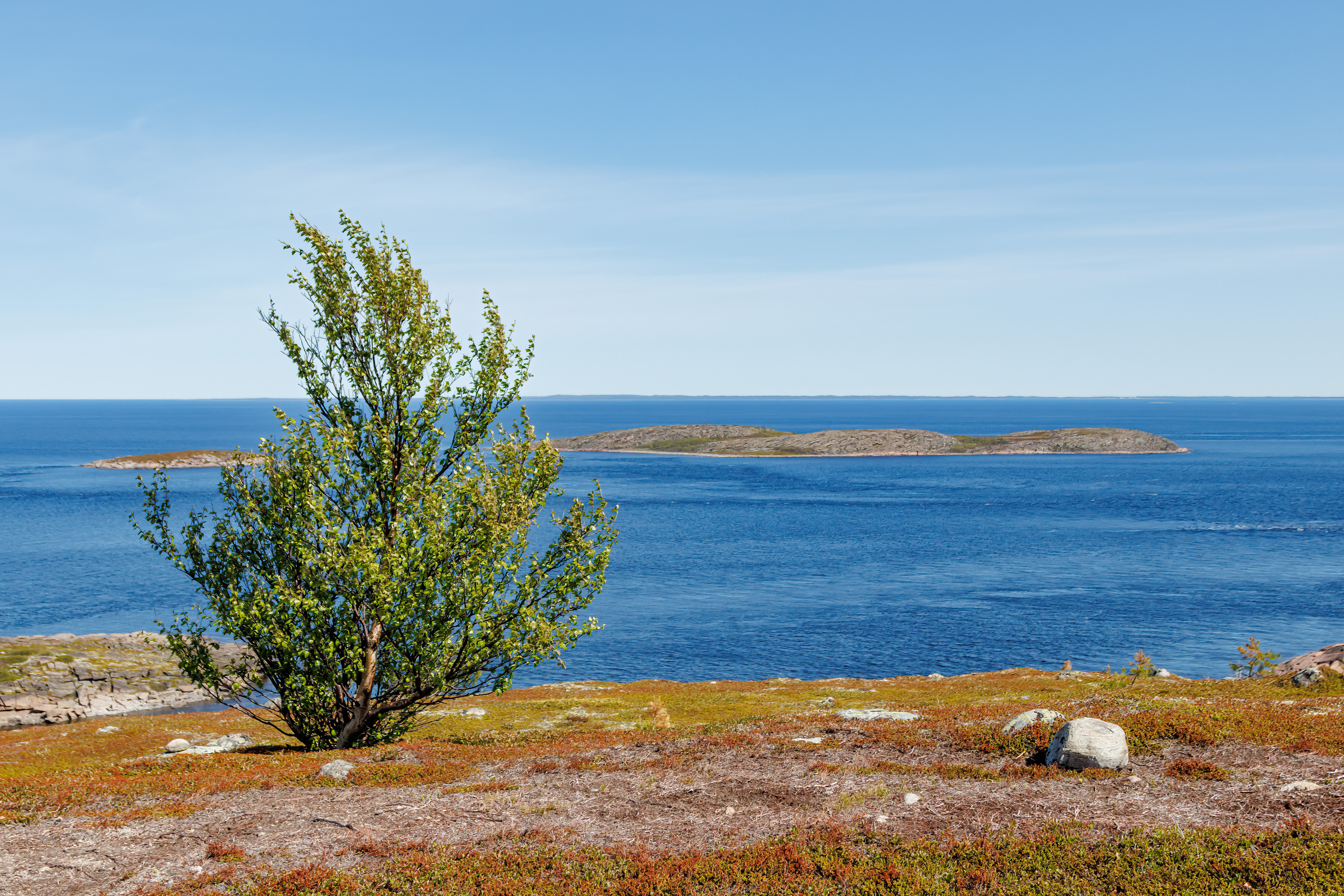 Белое море. Аэросъемка. Фото и Видео в Карелии. Алексей Фрилунд