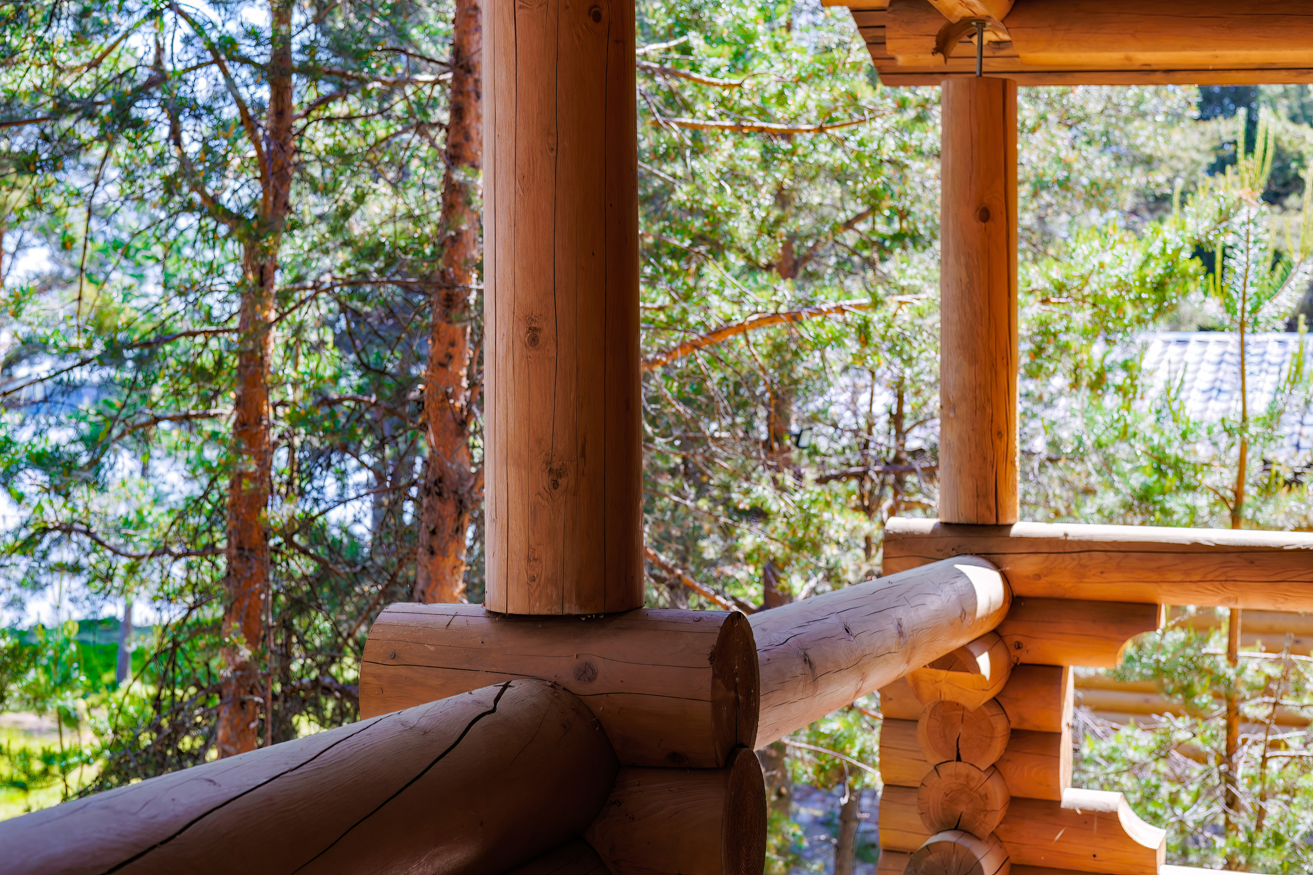 Гостевой дом «Белые ночи» (о. Сямозеро). Аэросъемка. Фото и Видео в Карелии. Алексей Фрилунд