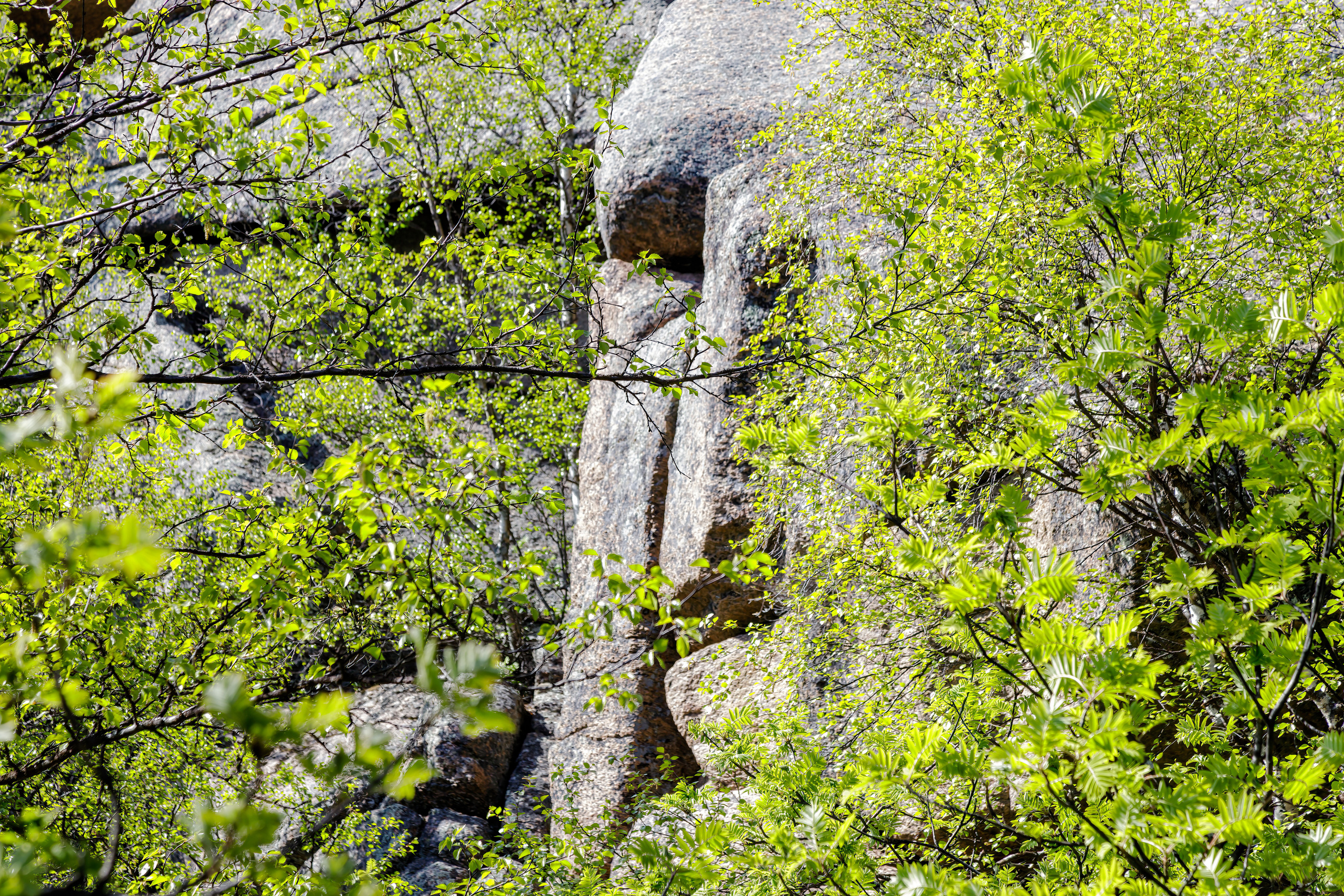 Белое море. Аэросъемка. Фото и Видео в Карелии. Алексей Фрилунд