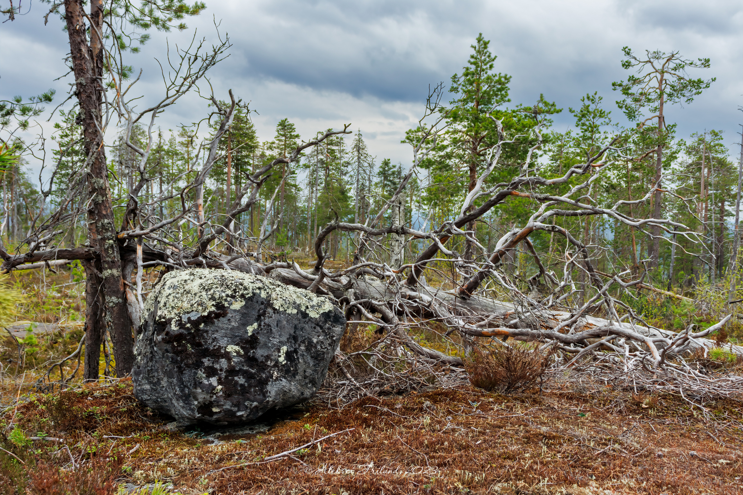 Природа Карелии. Аэросъемка. Фото и Видео в Карелии. Алексей Фрилунд
