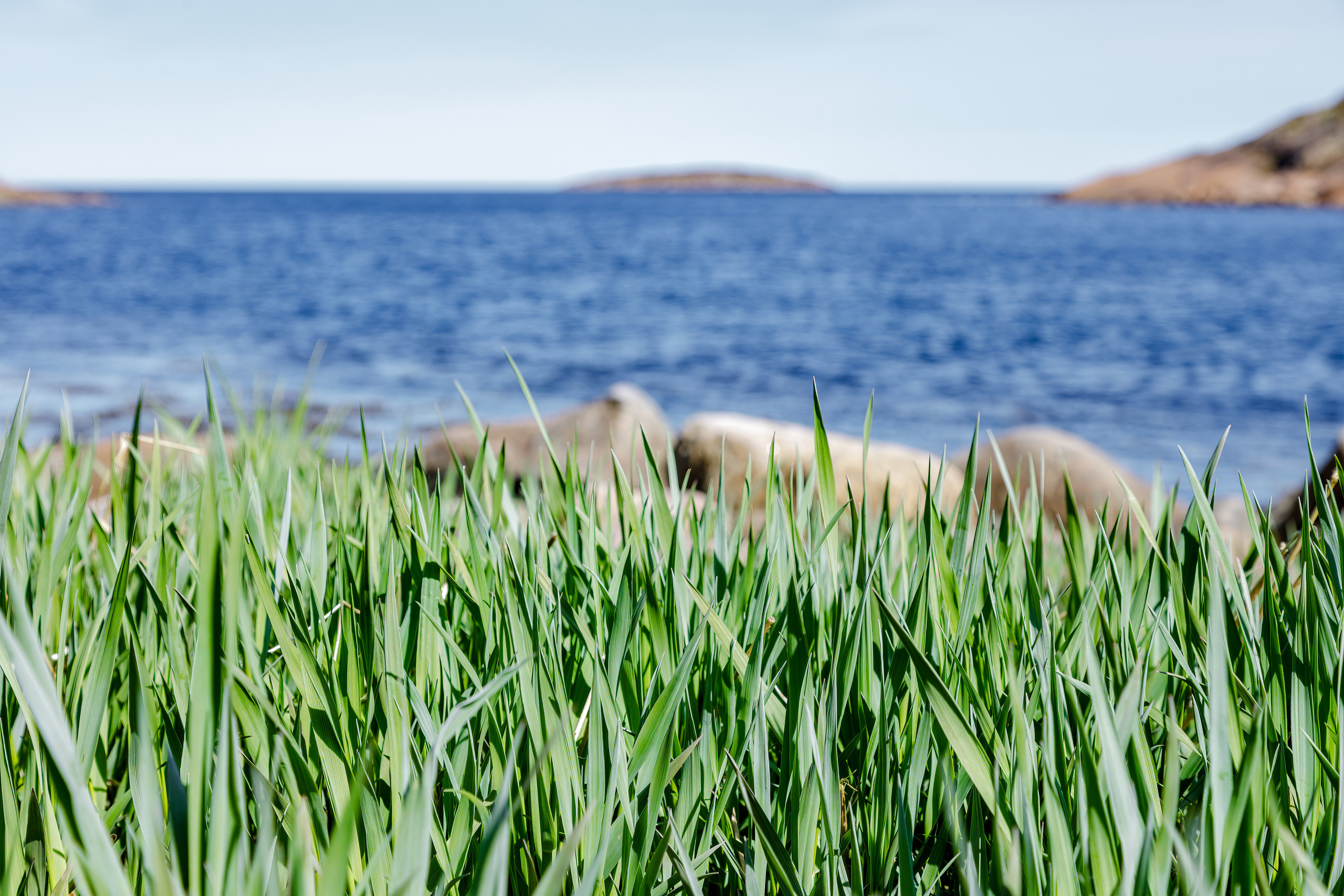 Белое море. Аэросъемка. Фото и Видео в Карелии. Алексей Фрилунд