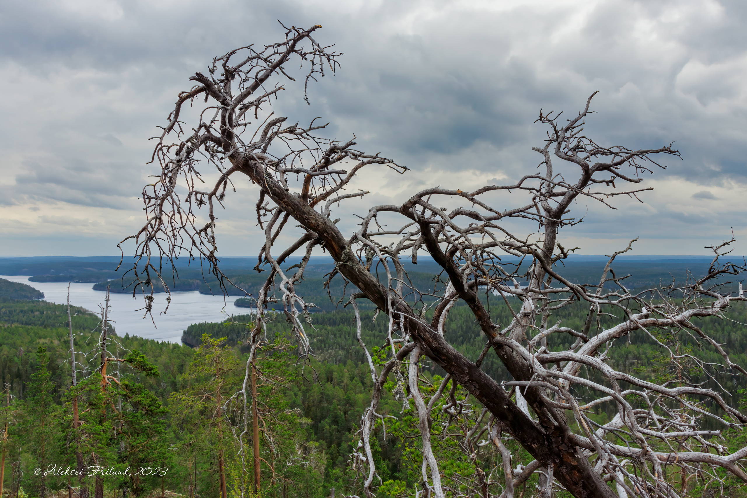 Природа Карелии. Аэросъемка. Фото и Видео в Карелии. Алексей Фрилунд