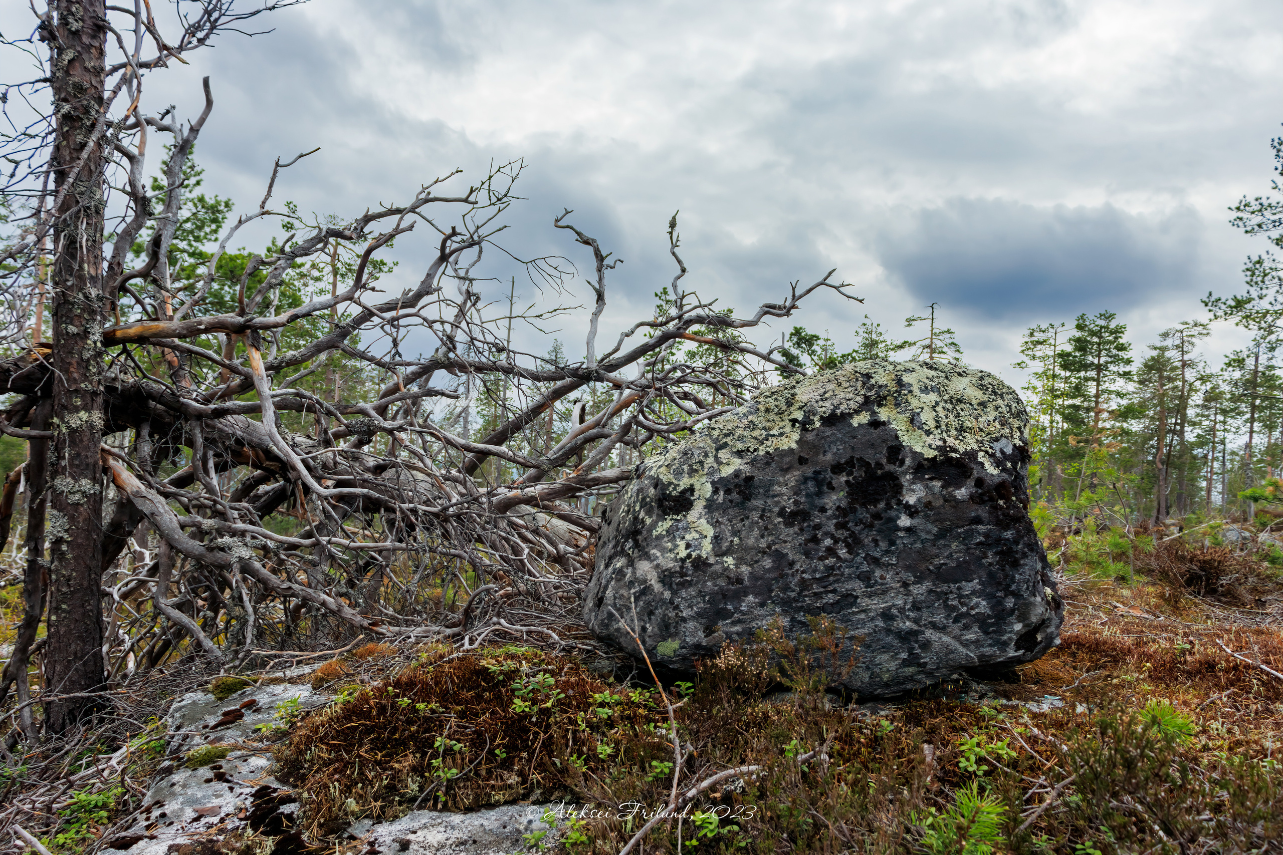 Природа Карелии. Аэросъемка. Фото и Видео в Карелии. Алексей Фрилунд