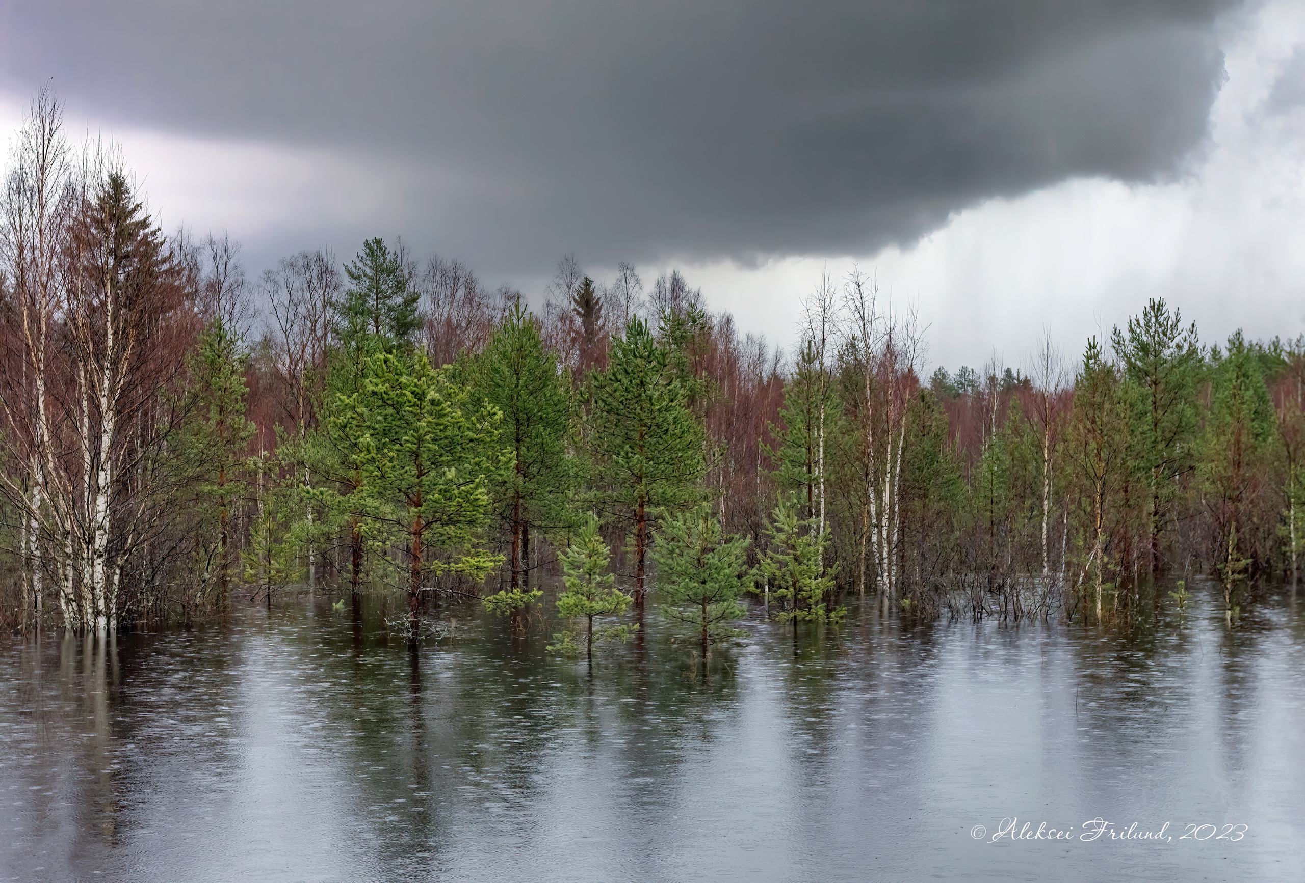 Природа Карелии. Аэросъемка. Фото и Видео в Карелии. Алексей Фрилунд