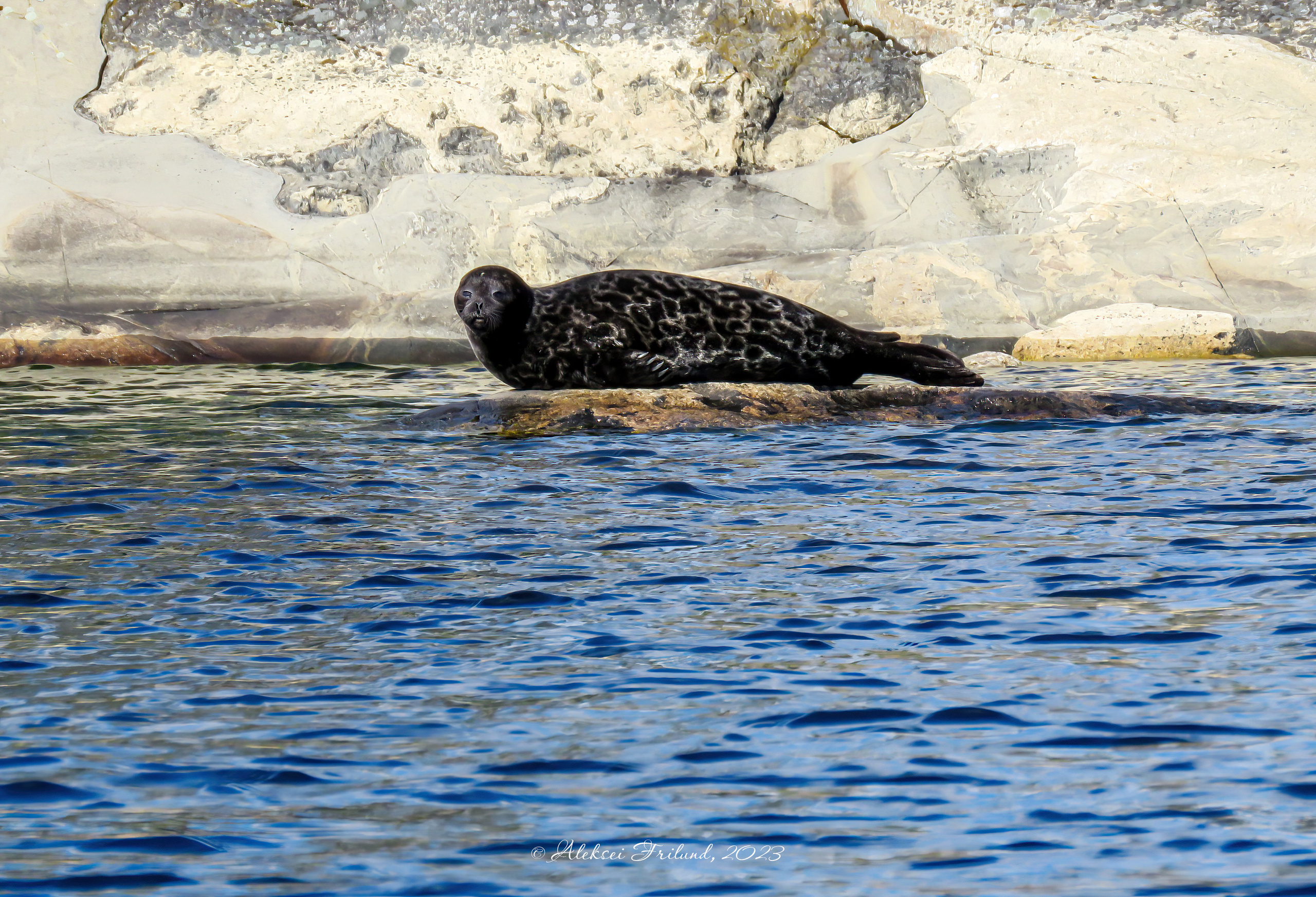 Природа Карелии. Аэросъемка. Фото и Видео в Карелии. Алексей Фрилунд