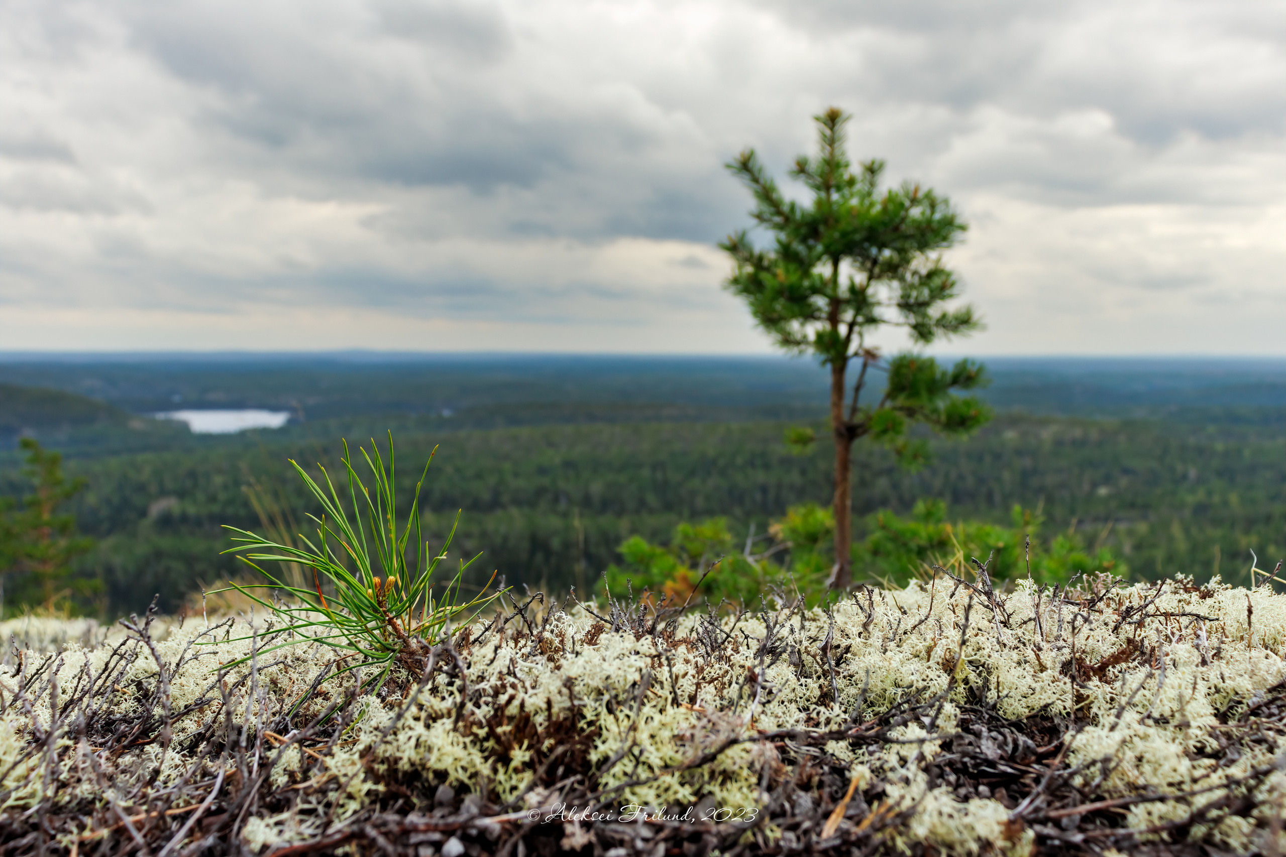 Природа Карелии. Аэросъемка. Фото и Видео в Карелии. Алексей Фрилунд