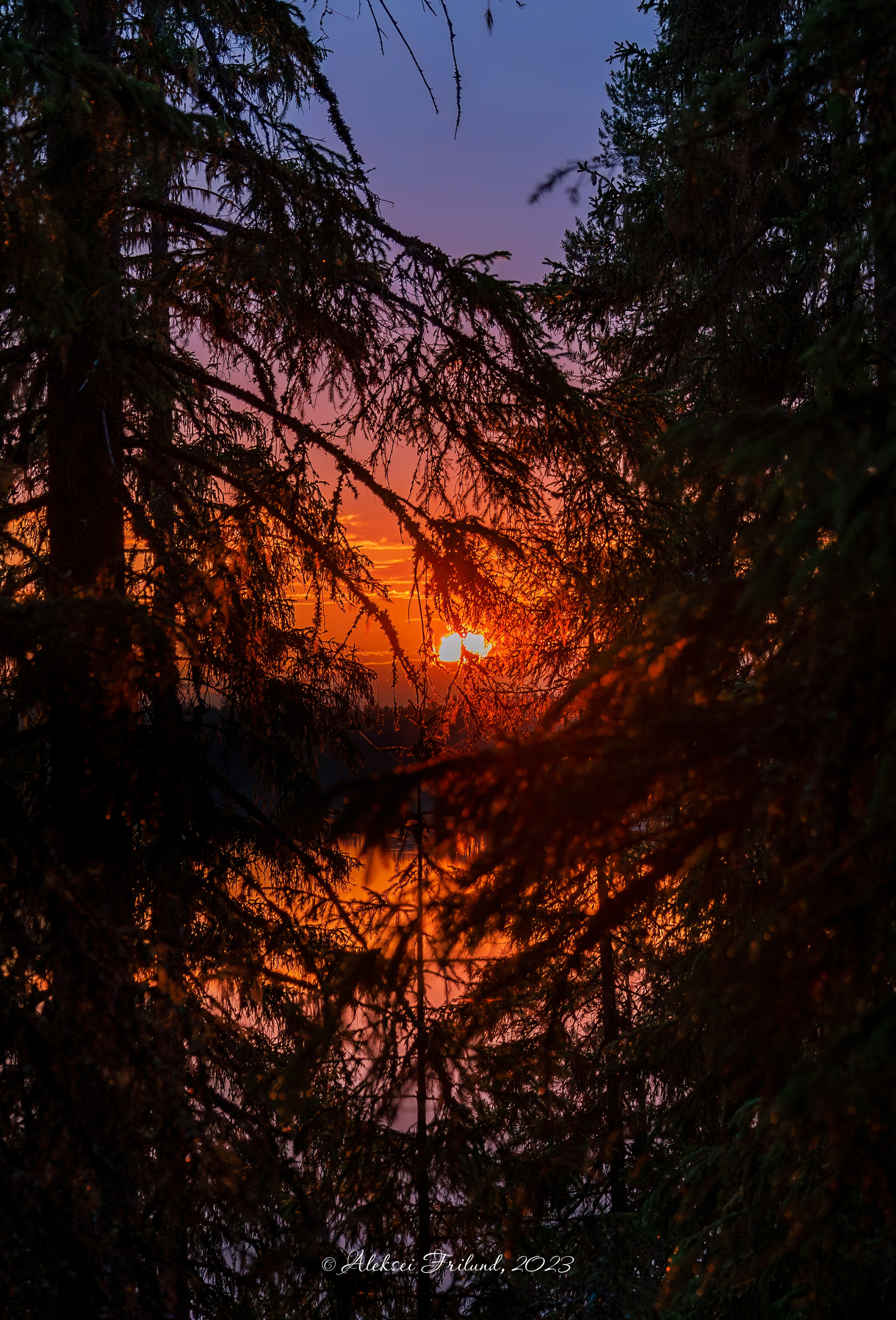 Природа Карелии. Аэросъемка. Фото и Видео в Карелии. Алексей Фрилунд