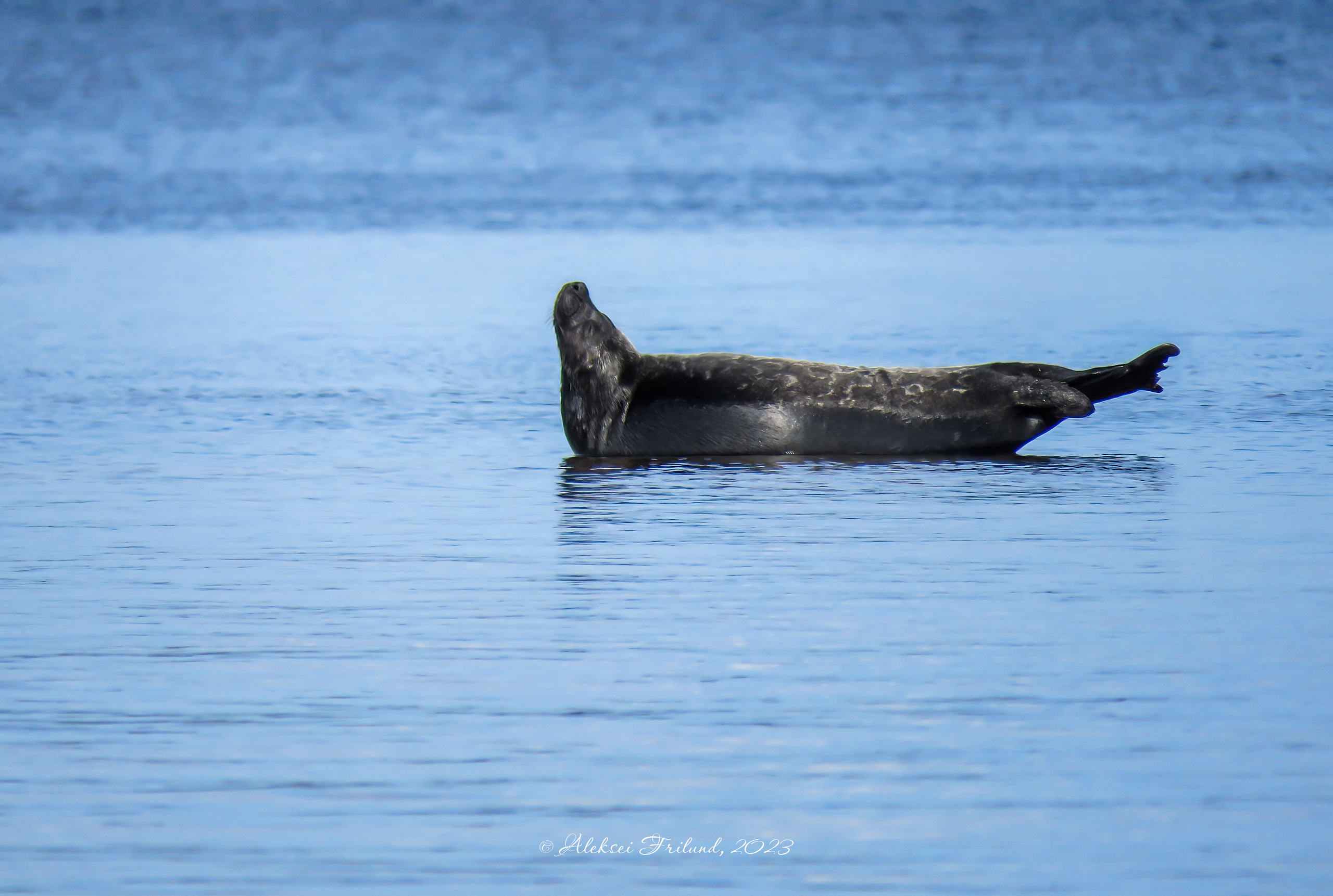 Ладожское озеро. Аэросъемка. Фото и Видео в Карелии. Алексей Фрилунд