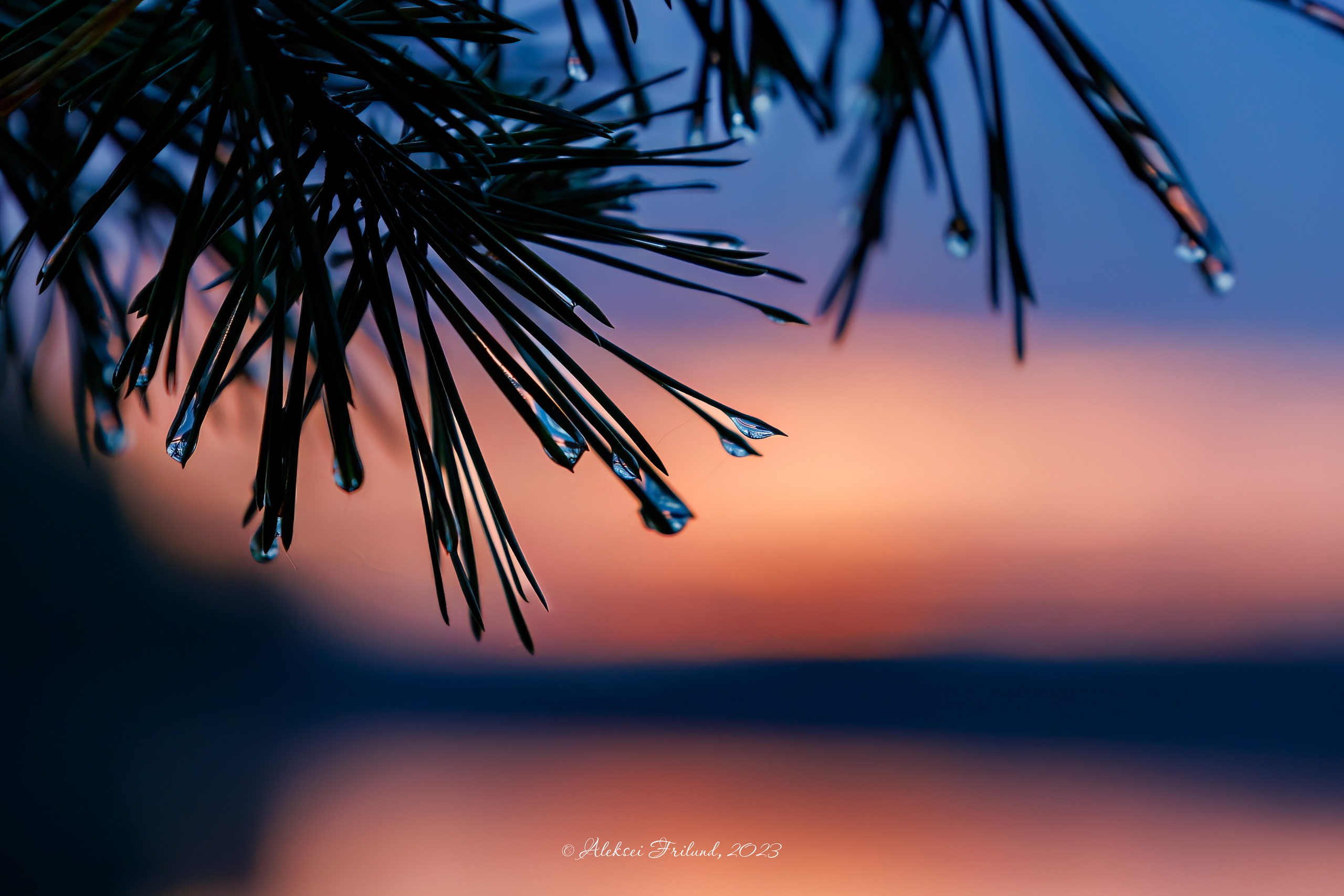 Природа Карелии. Аэросъемка. Фото и Видео в Карелии. Алексей Фрилунд