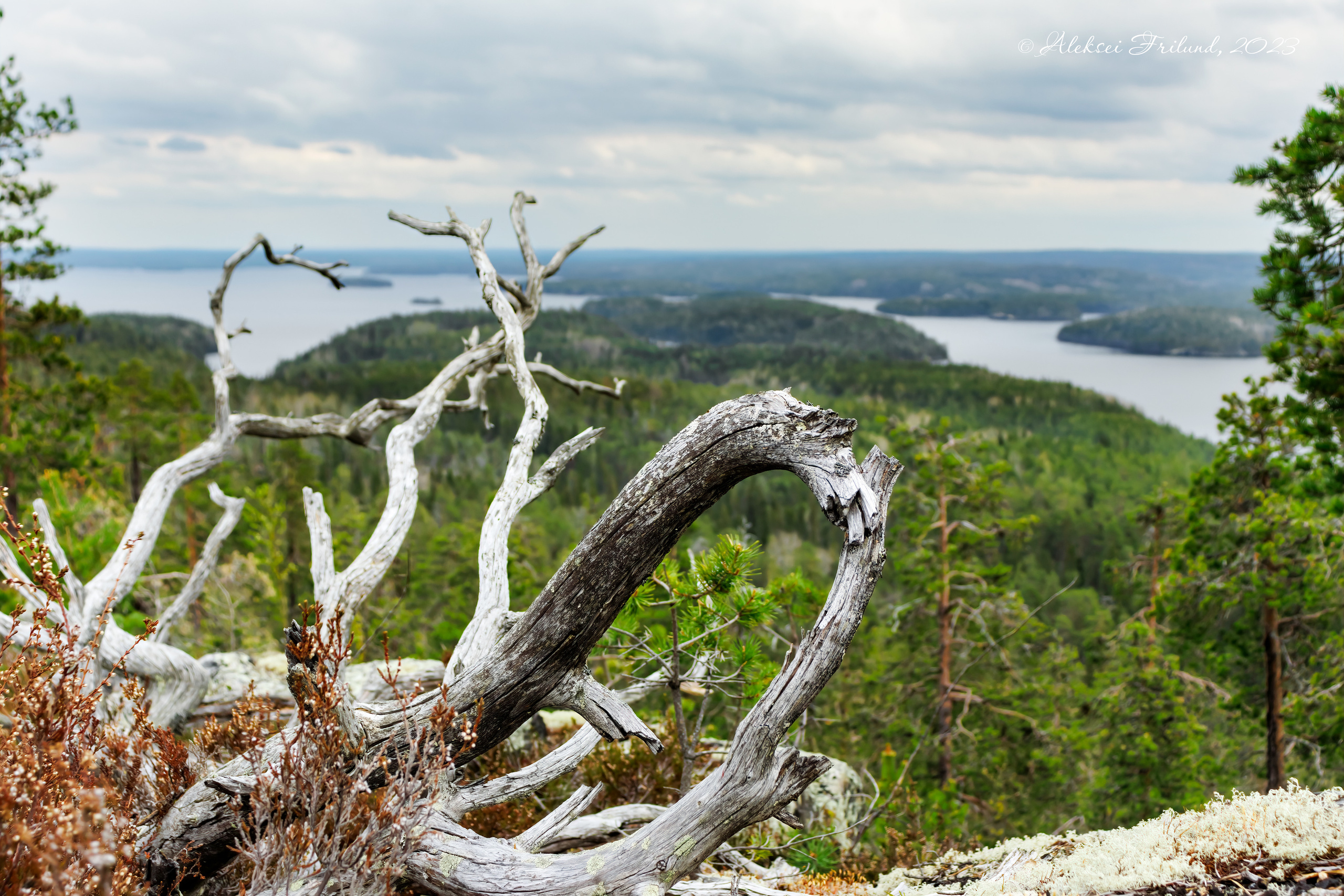 Природа Карелии. Аэросъемка. Фото и Видео в Карелии. Алексей Фрилунд