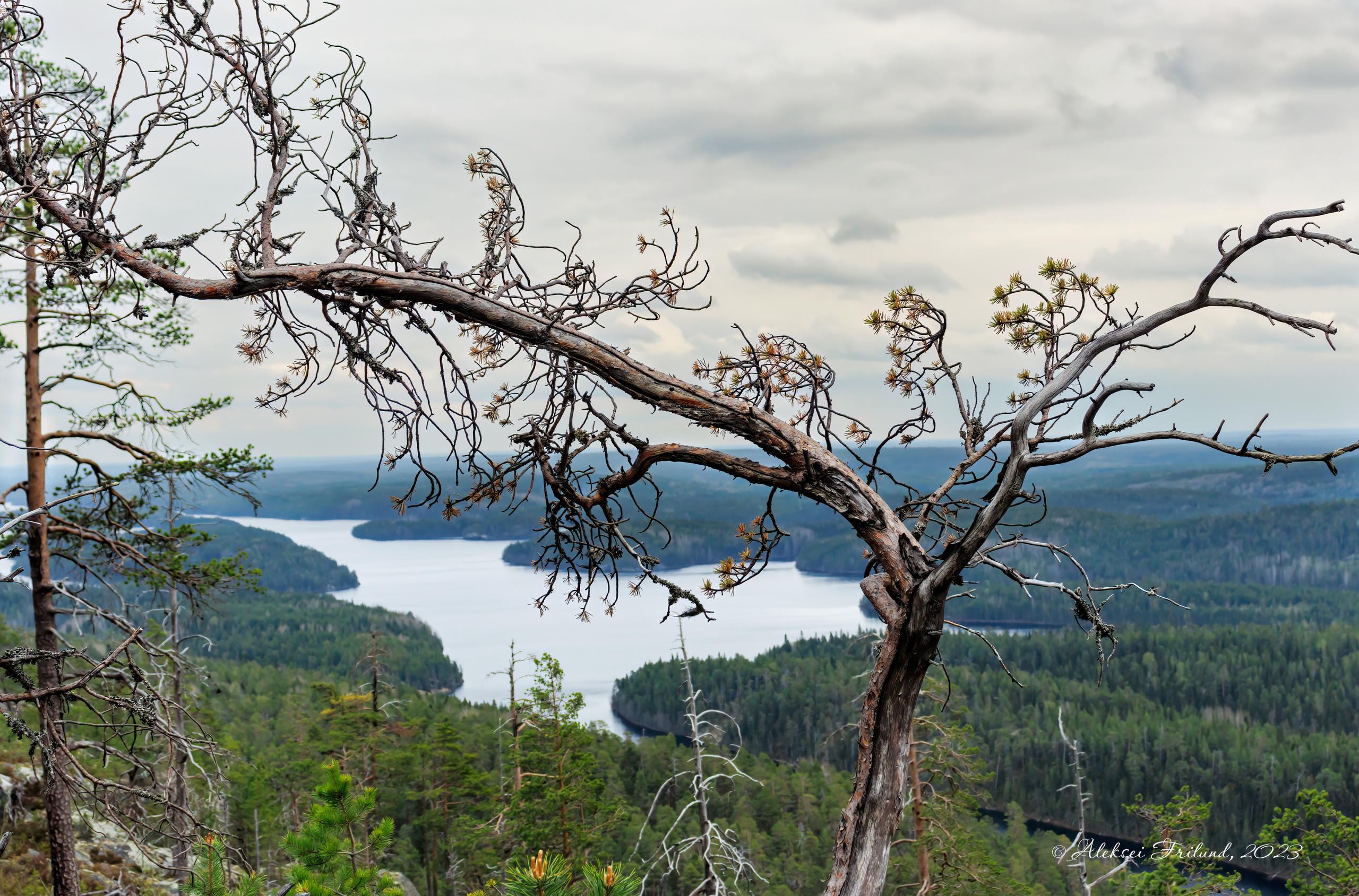 Природа Карелии. Аэросъемка. Фото и Видео в Карелии. Алексей Фрилунд