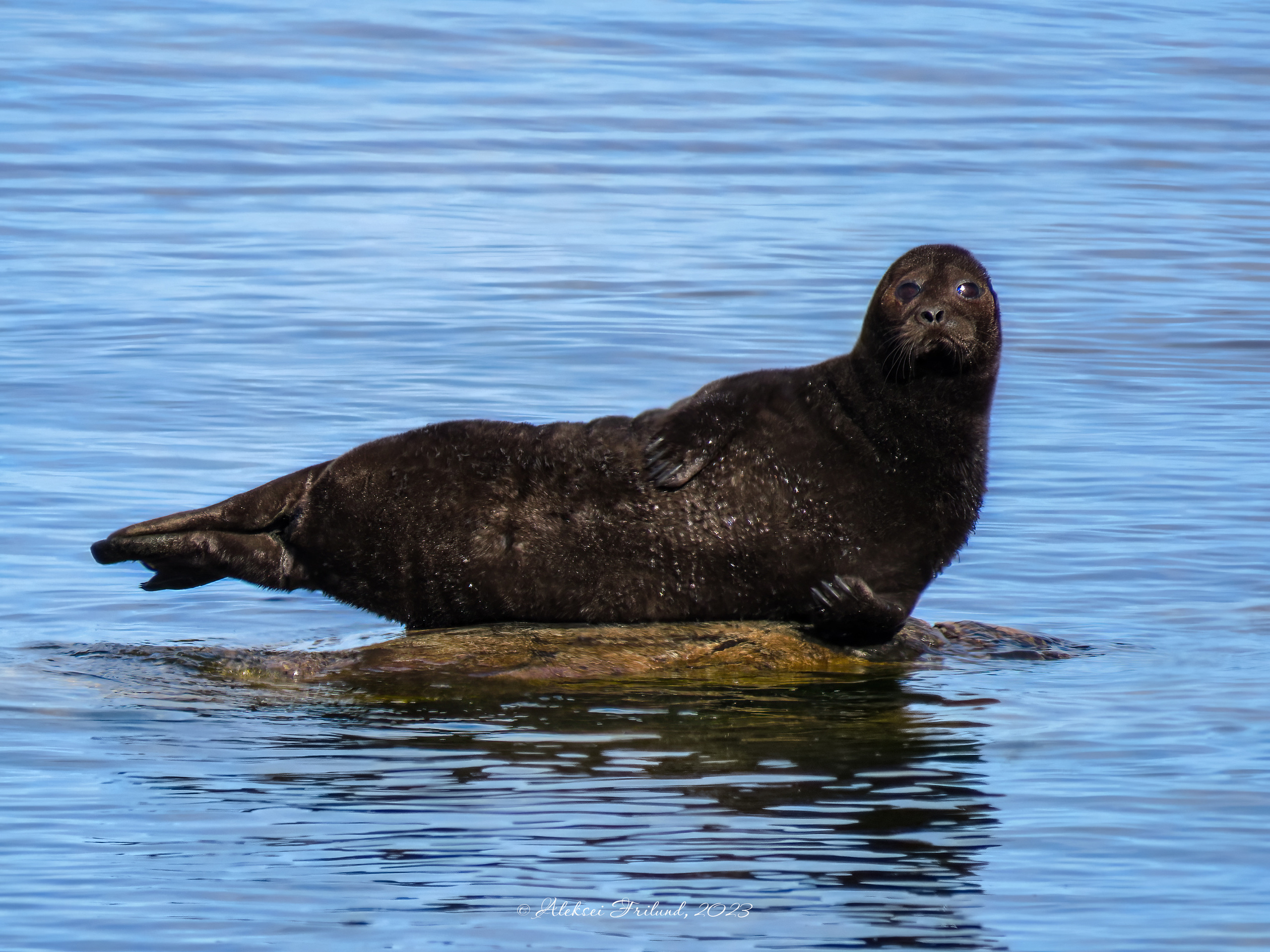 Ладожское озеро. Аэросъемка. Фото и Видео в Карелии. Алексей Фрилунд